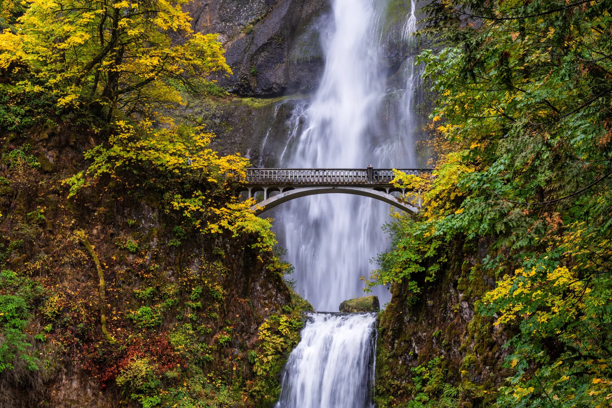 Autumn Cascade Bridge