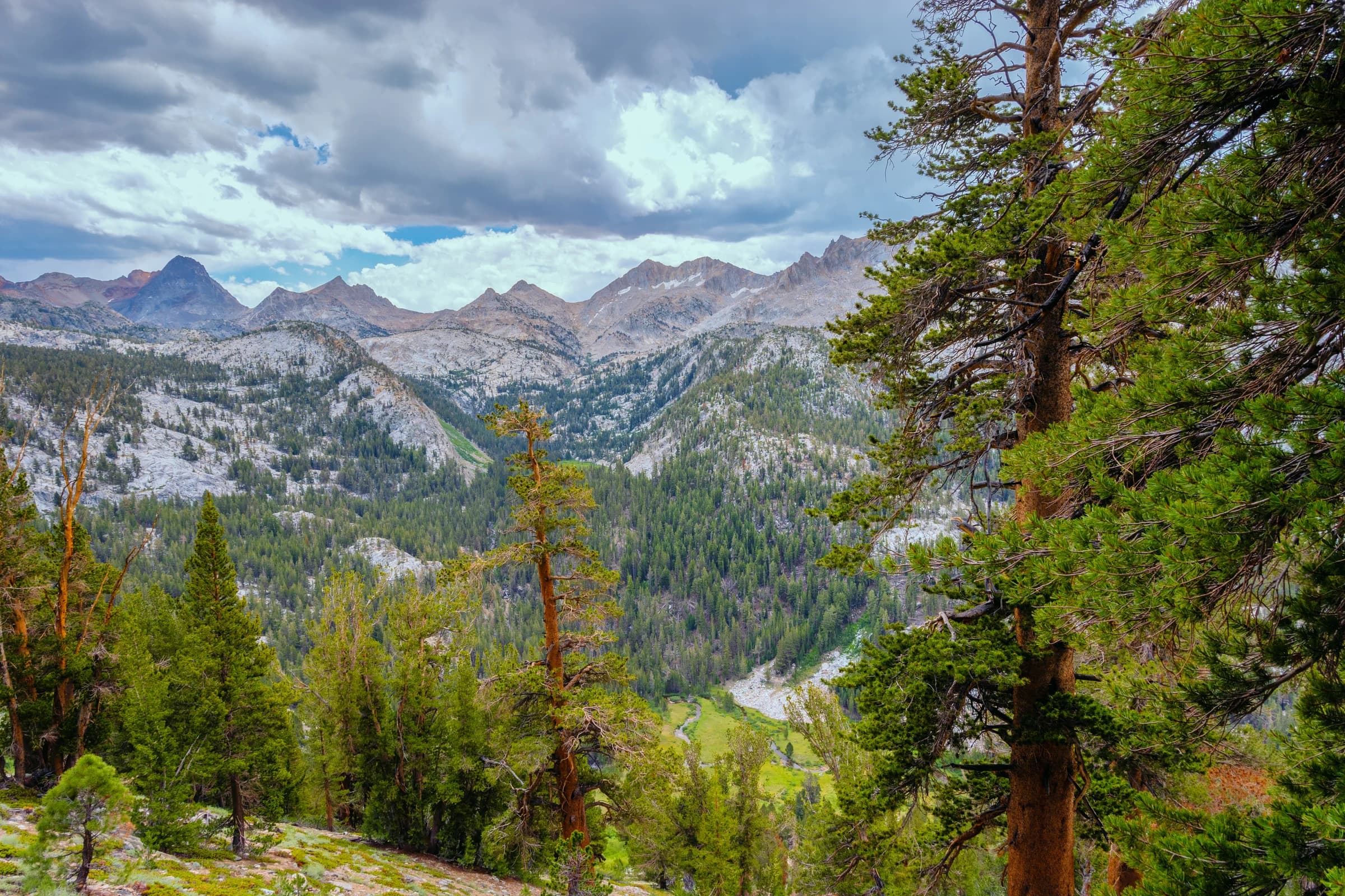 Sierra Vista Through the Pines