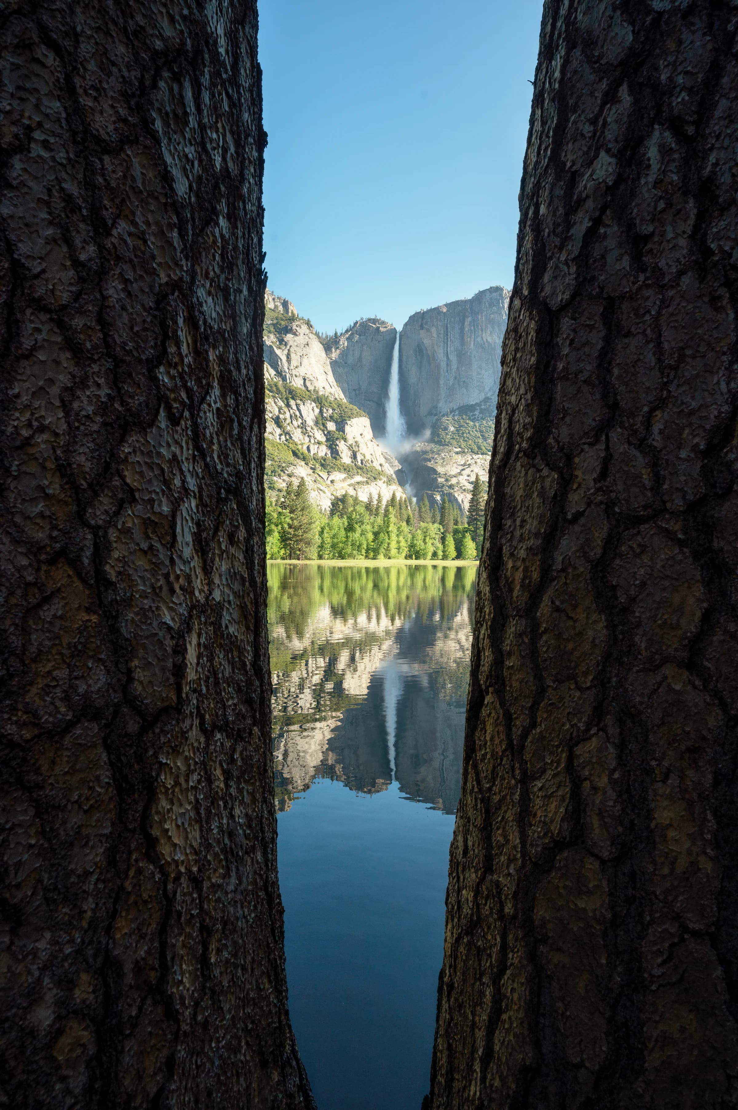 Yosemite's Bridalveil Through the Trees