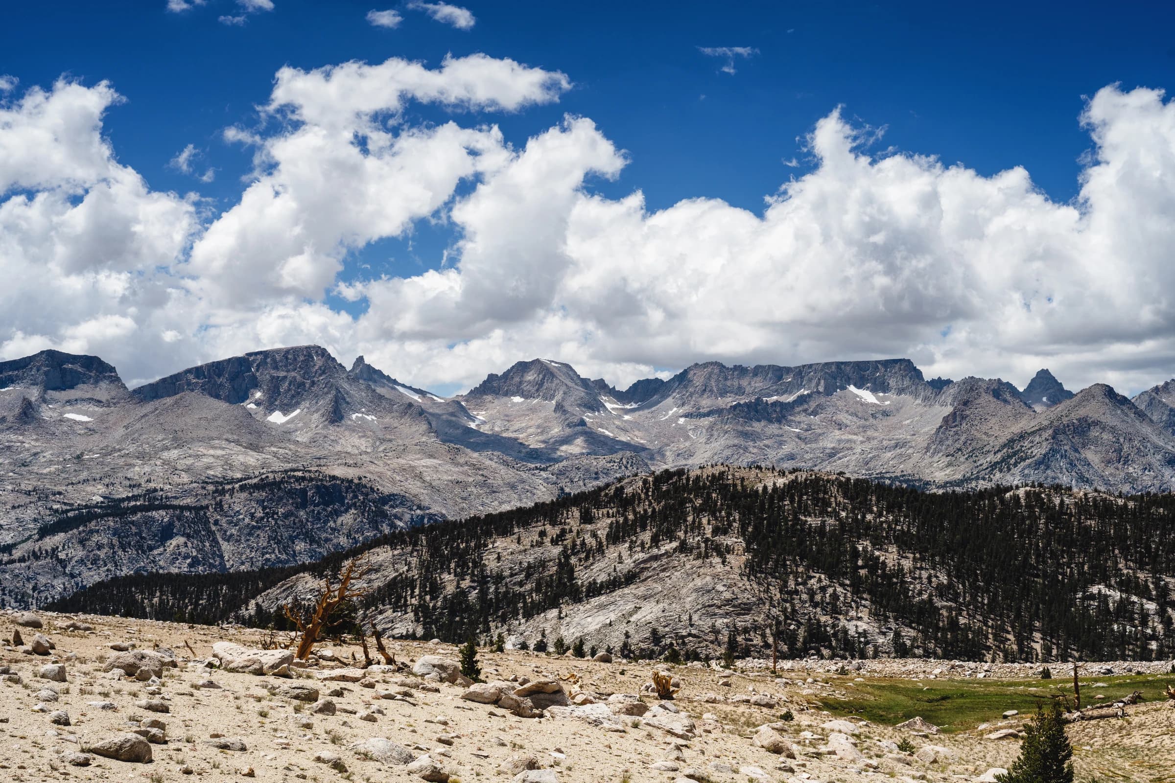 Sierra Nevada Summer Vista
