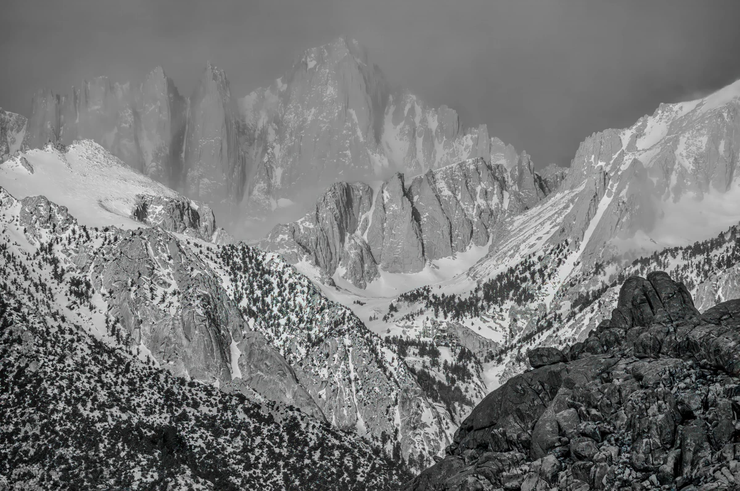 Sierra Nevada Winter's Embrace