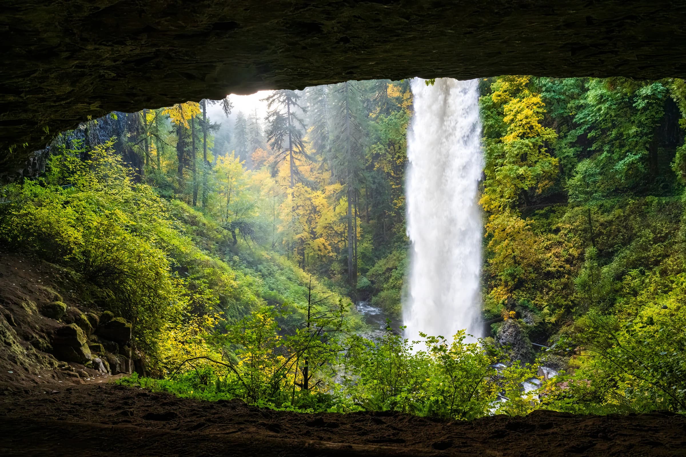 Silver Falls Cave Vista