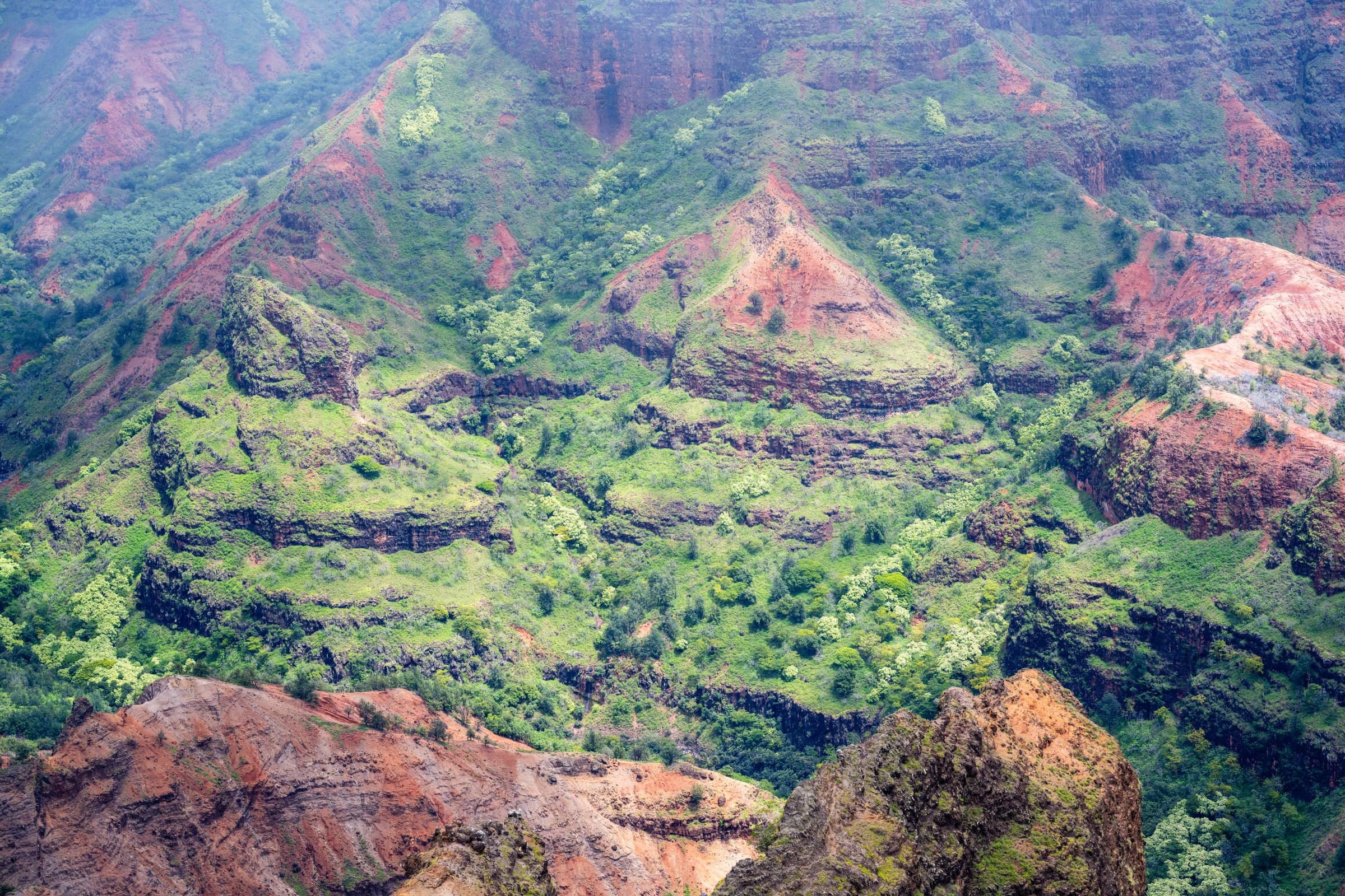 Waimea Canyon Red and Green