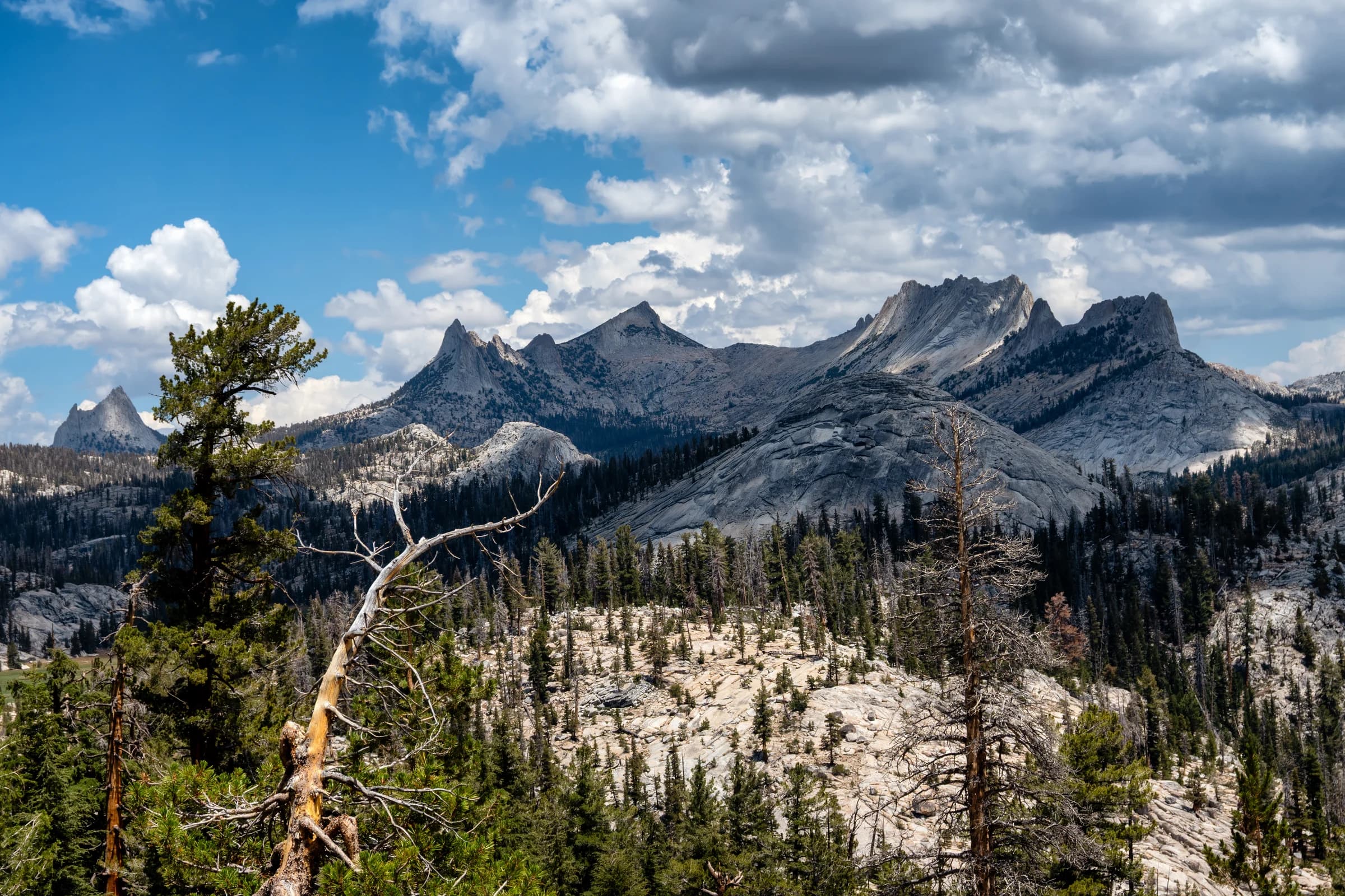 Cathedral Range Vista