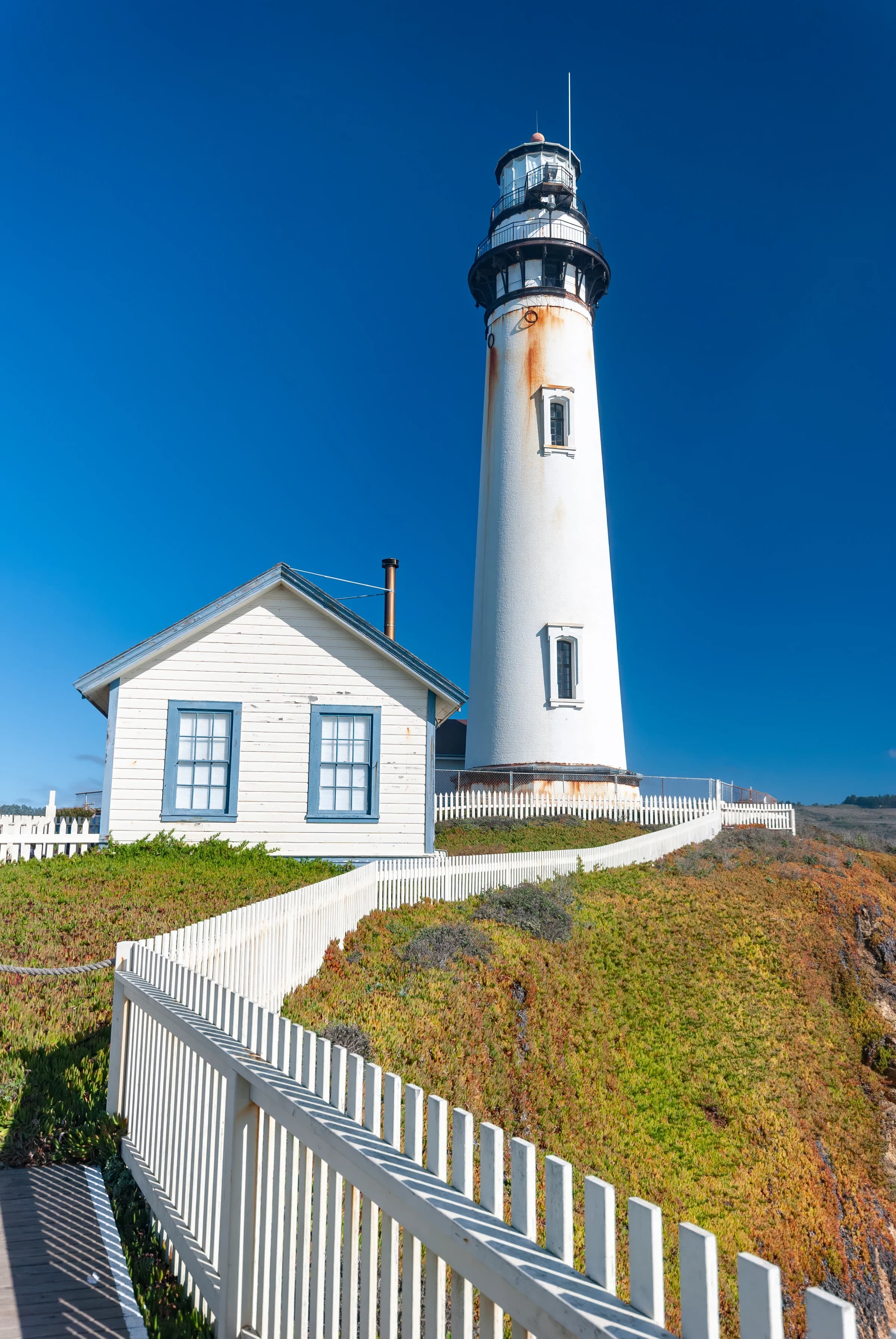Pigeon Point Sentinel