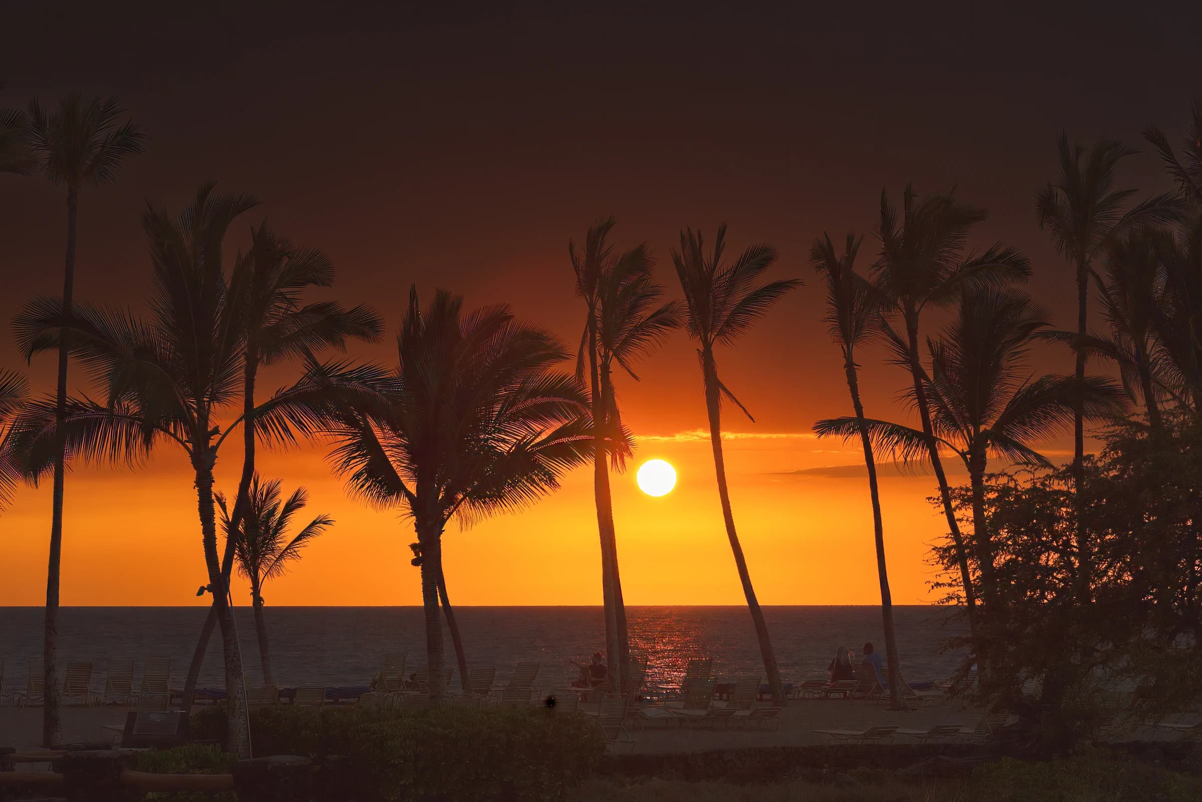 Tropical Sunset Silhouette