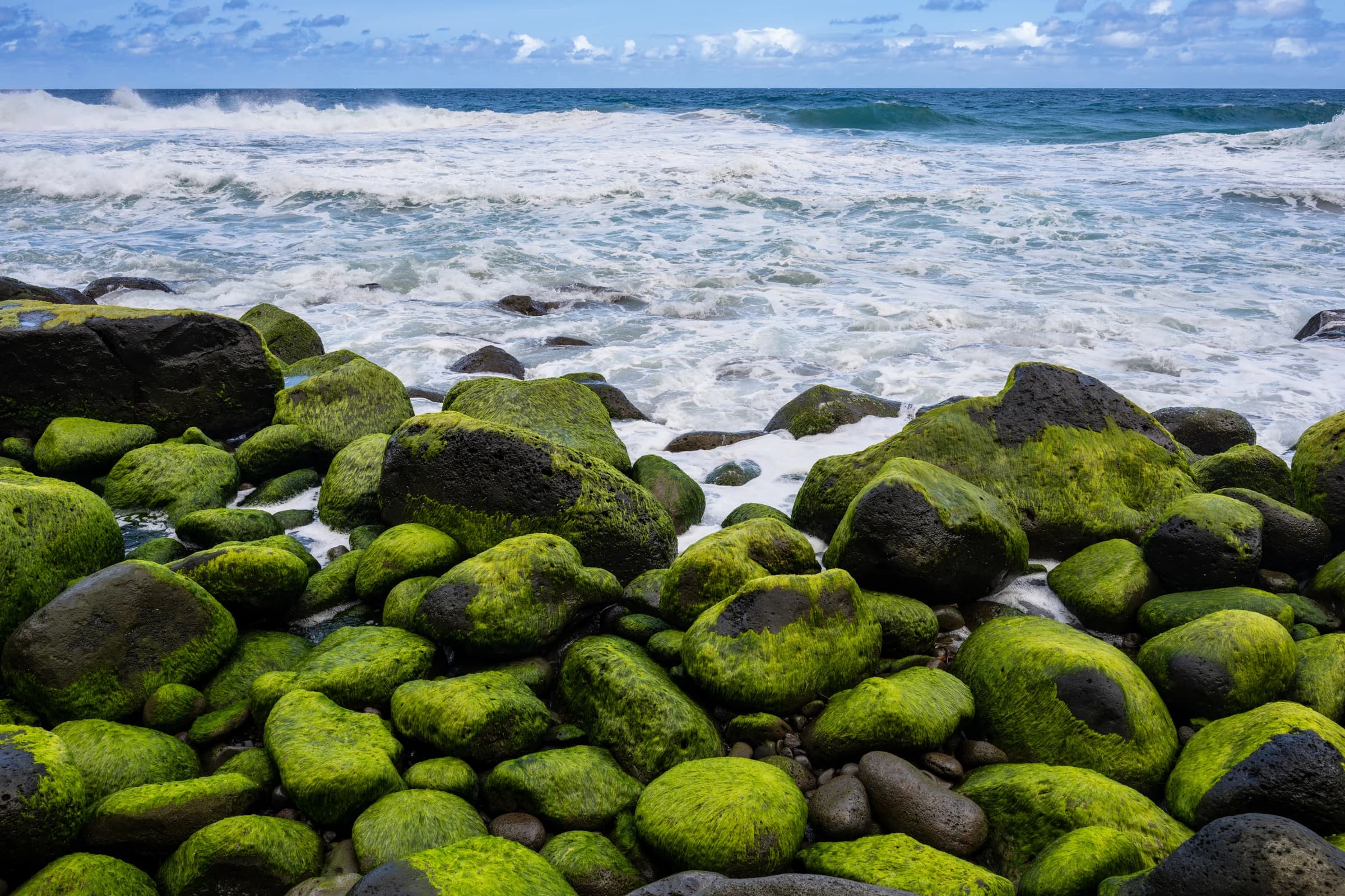 Mossy Boulders and Crashing Waves