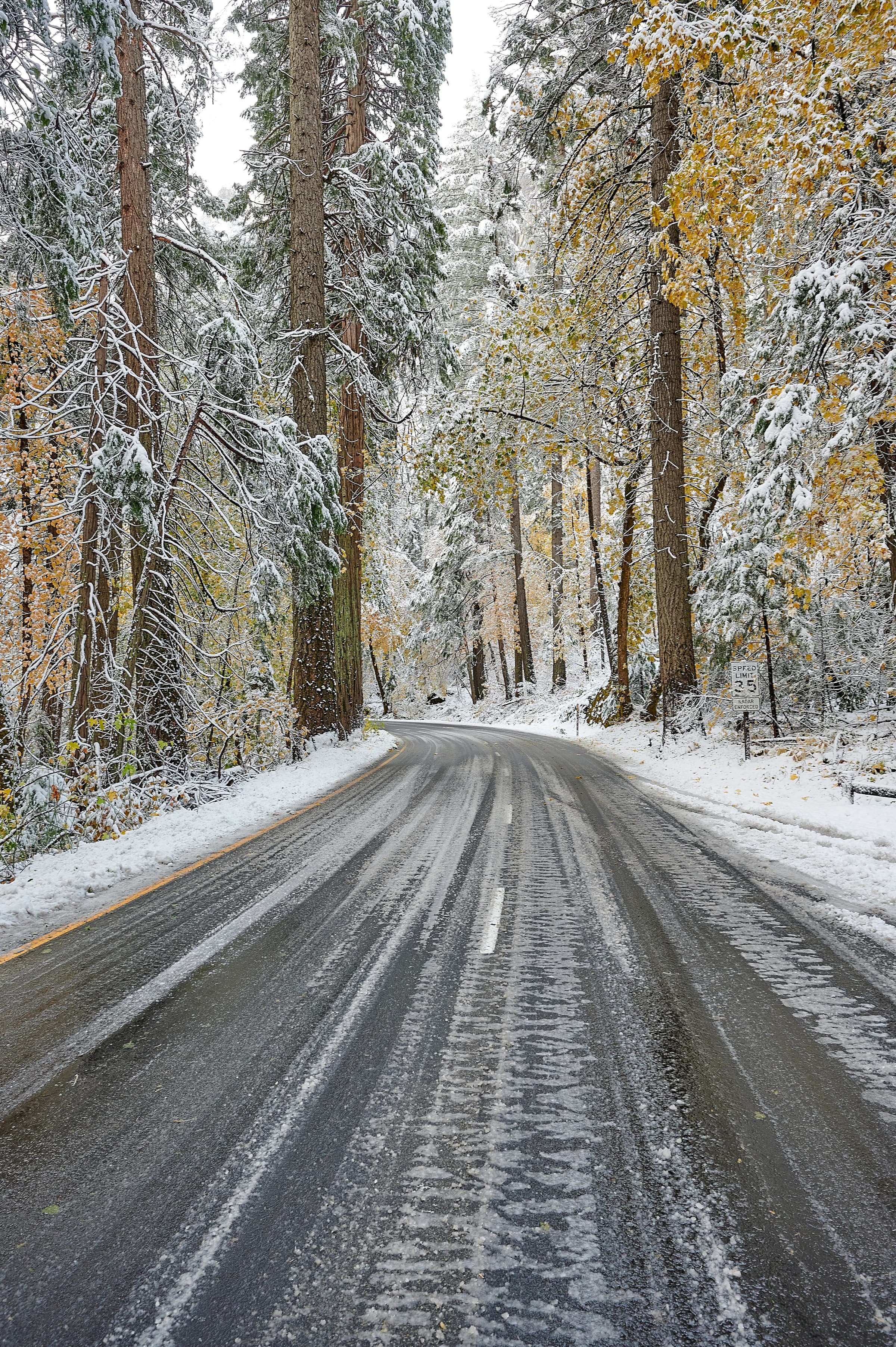 Sierra Nevada's Winter Embrace