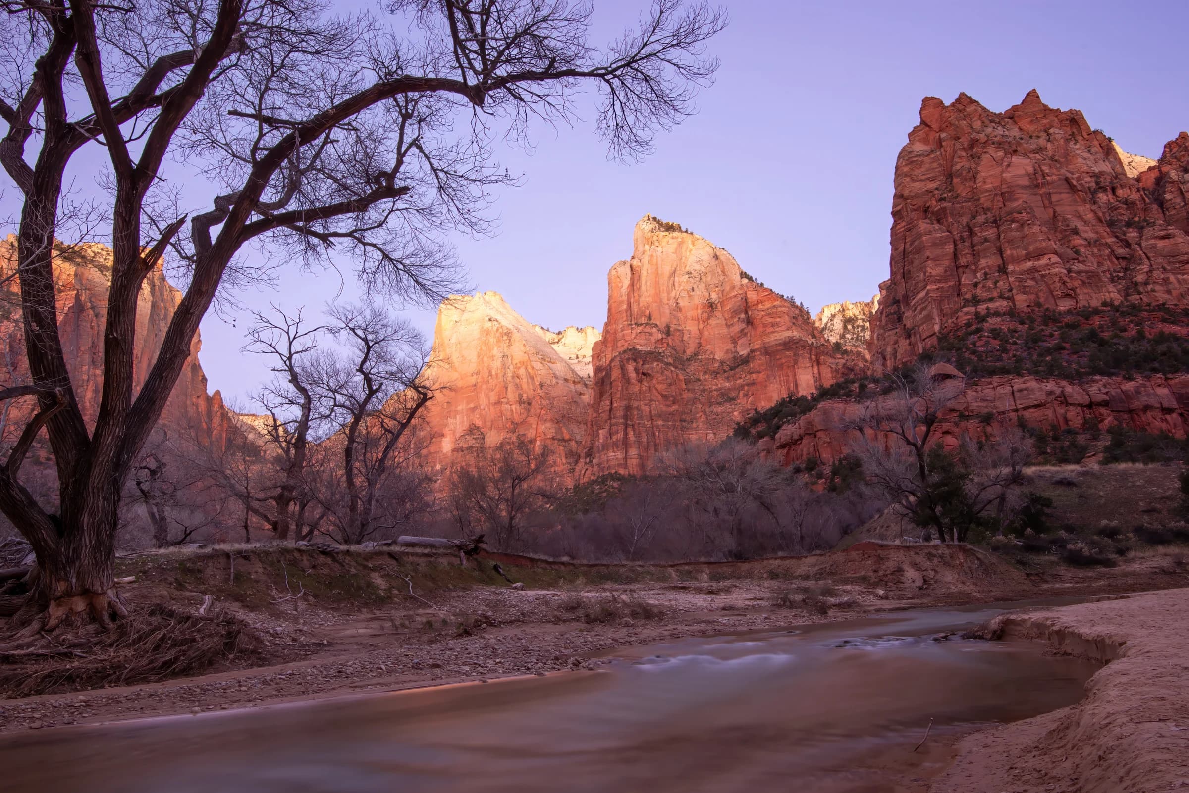 Zion's Riverine Glow