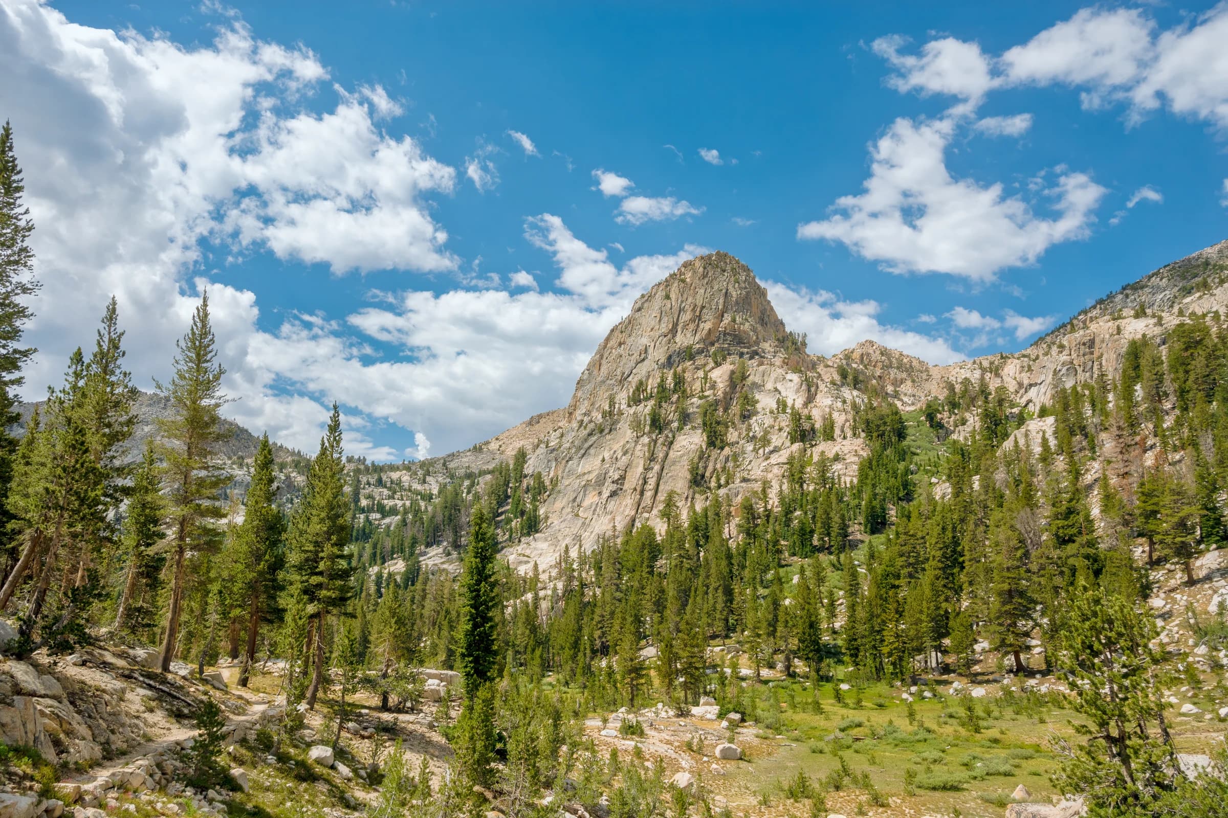 Sierra Nevada Summer Peak