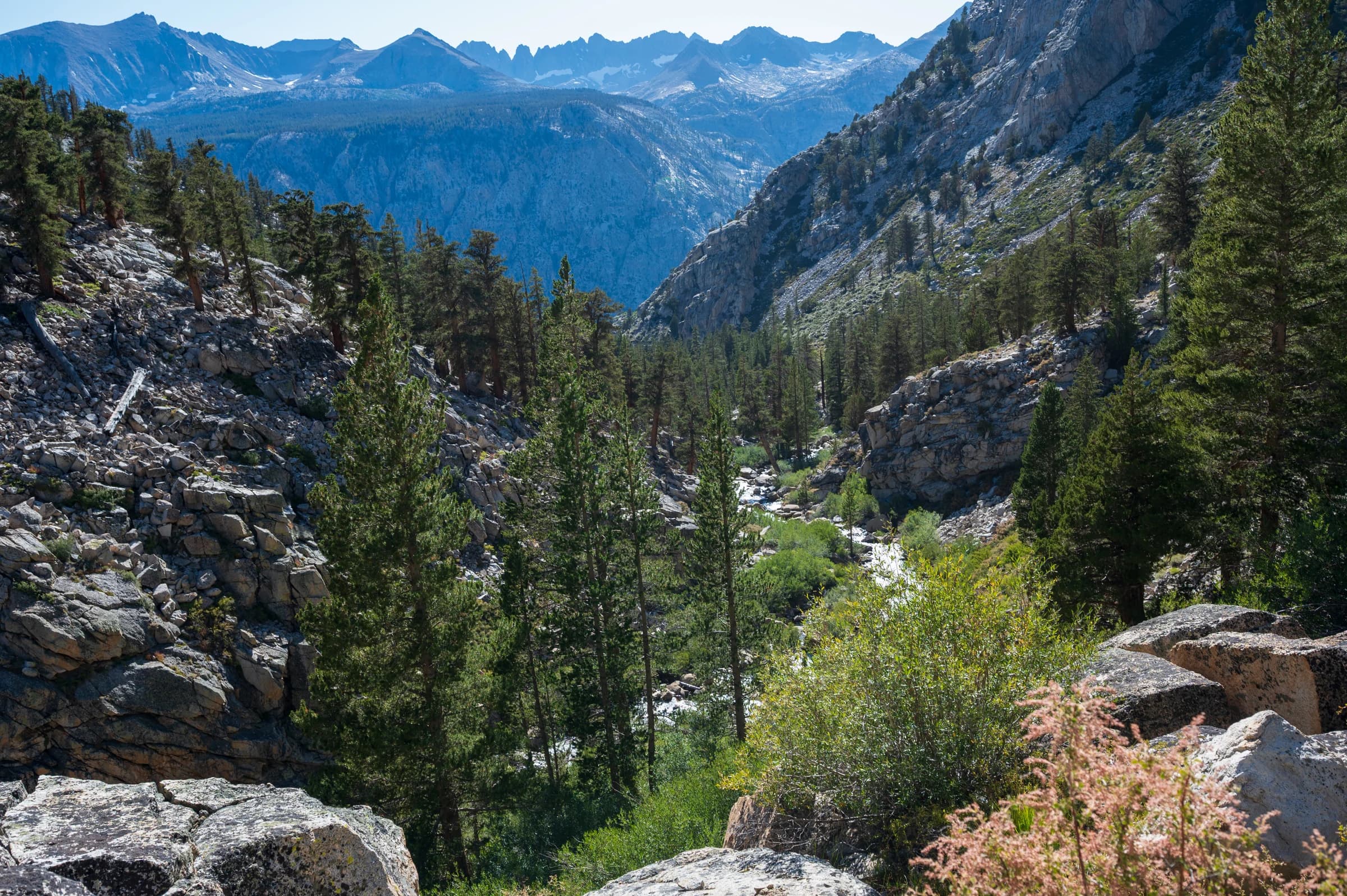 Kaweah Mountains