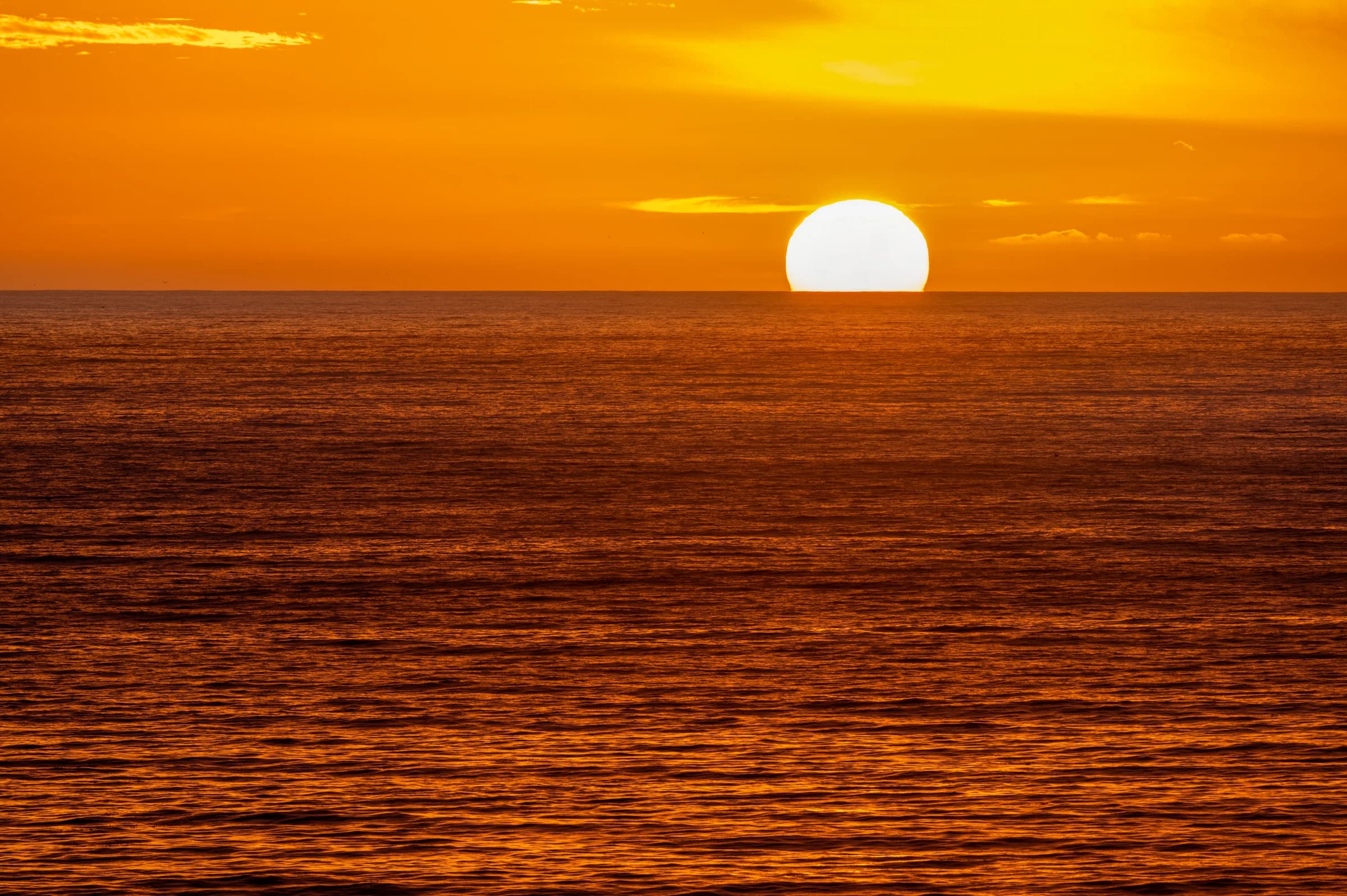 Golden Horizon's Embrace