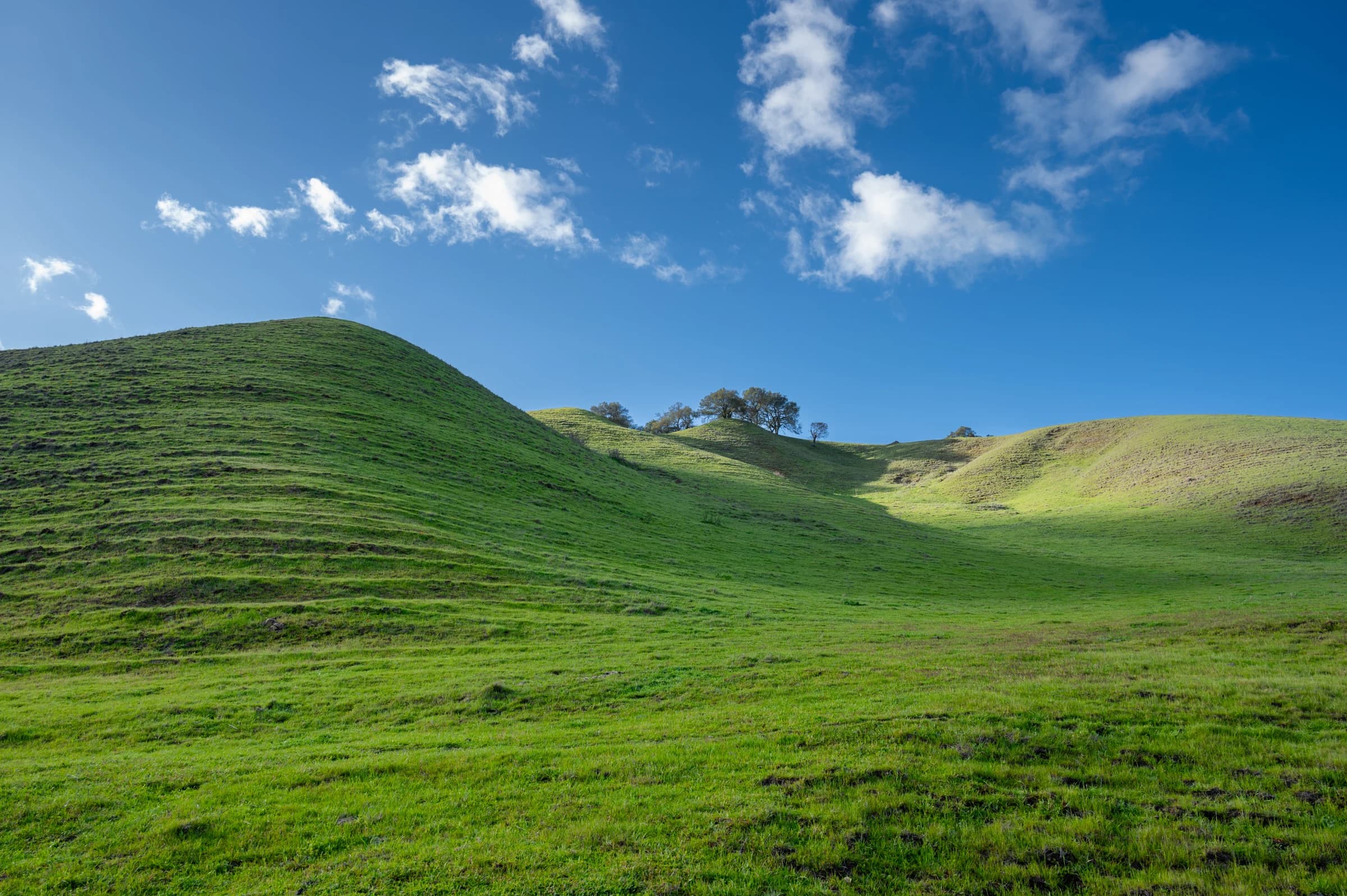 California Hills, Emerald Dreams