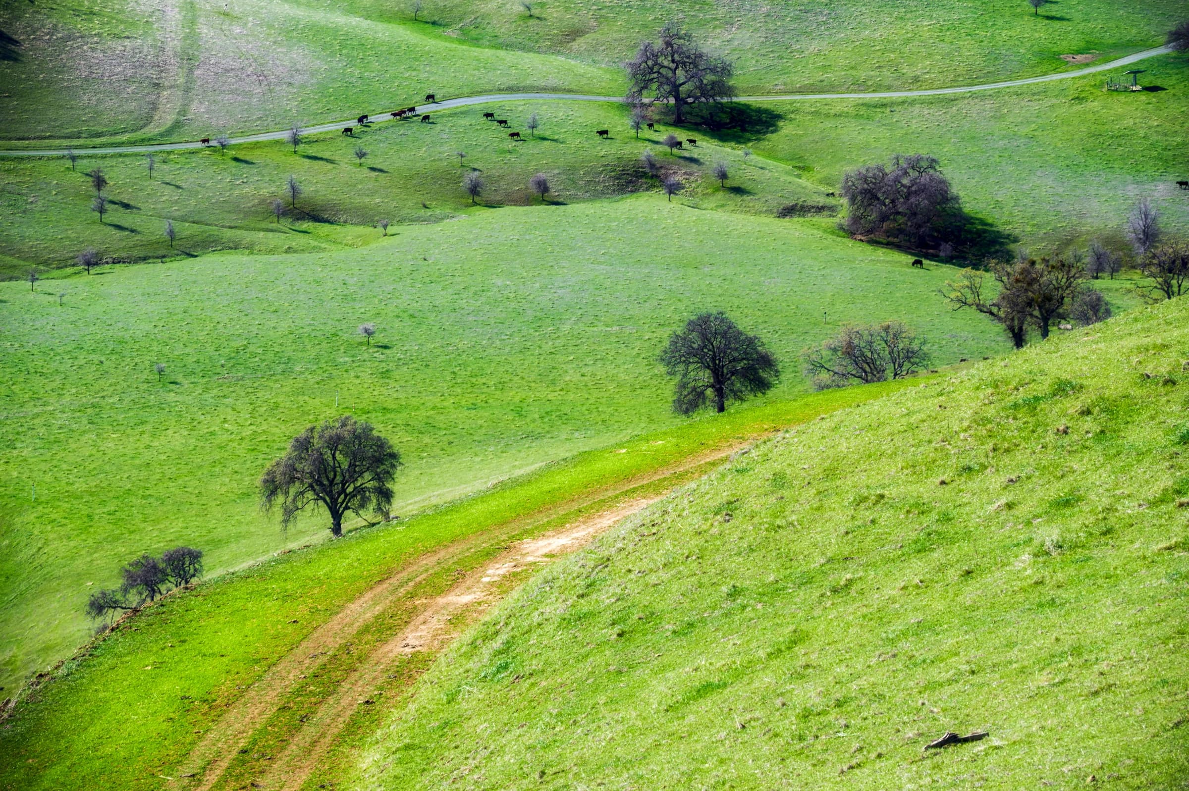 Emerald Hills, California Spring