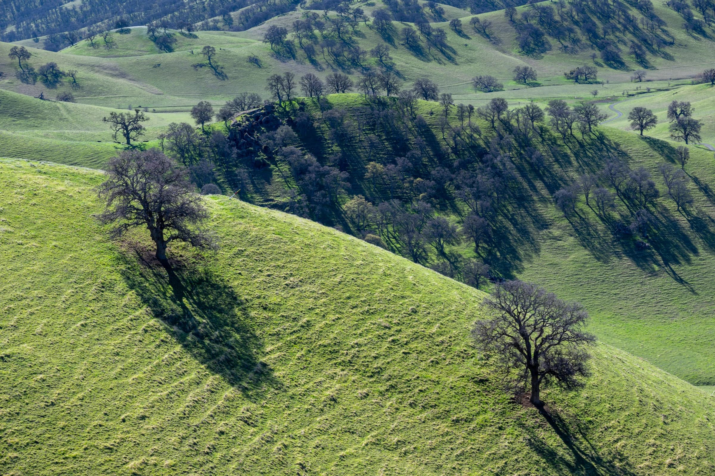 Emerald Hills, Winter Shadows