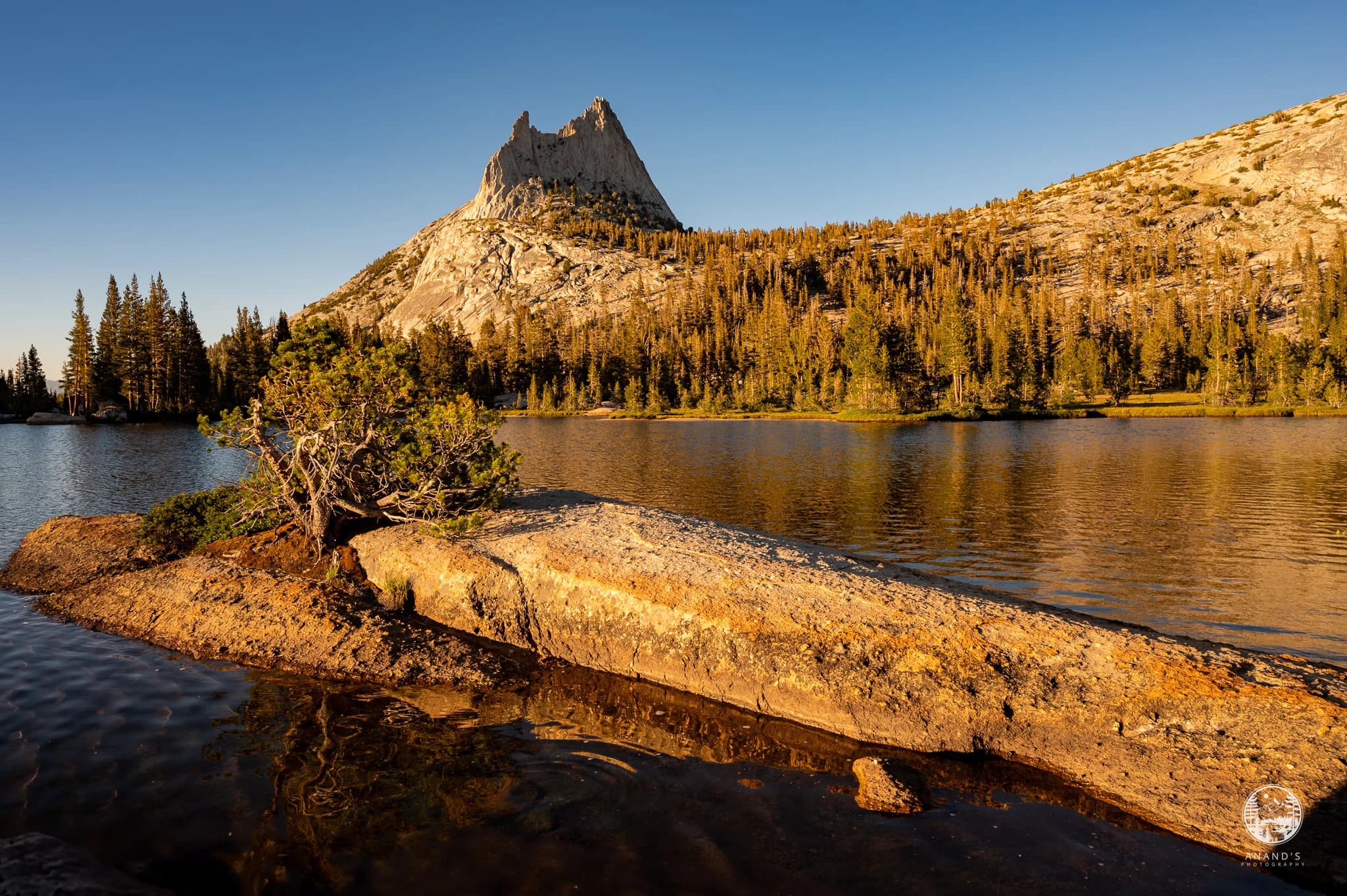Cathedral Peak's Golden Hour (2020)