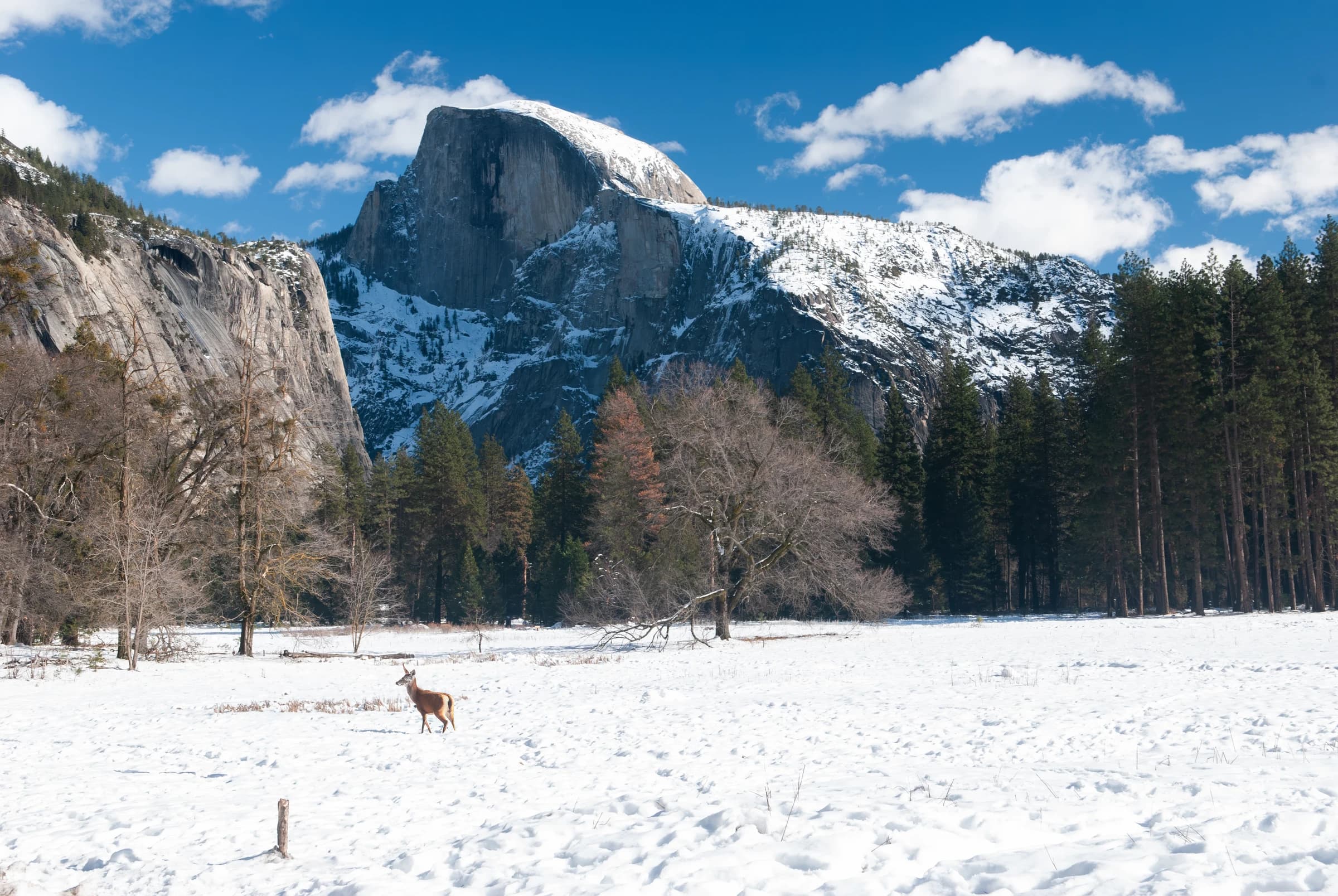 Half Dome Winter Solitude