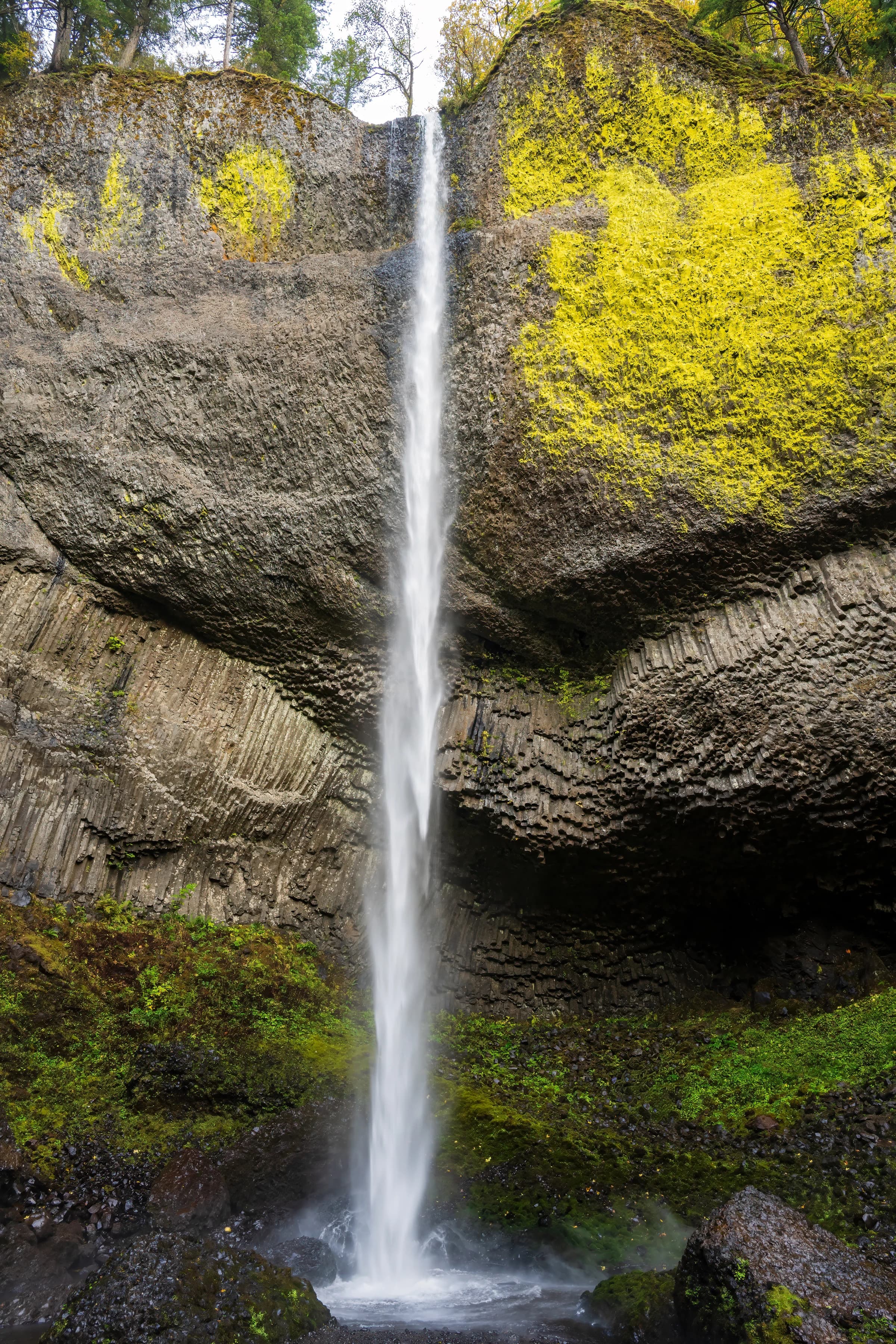 Latourell Falls' Verdant Embrace