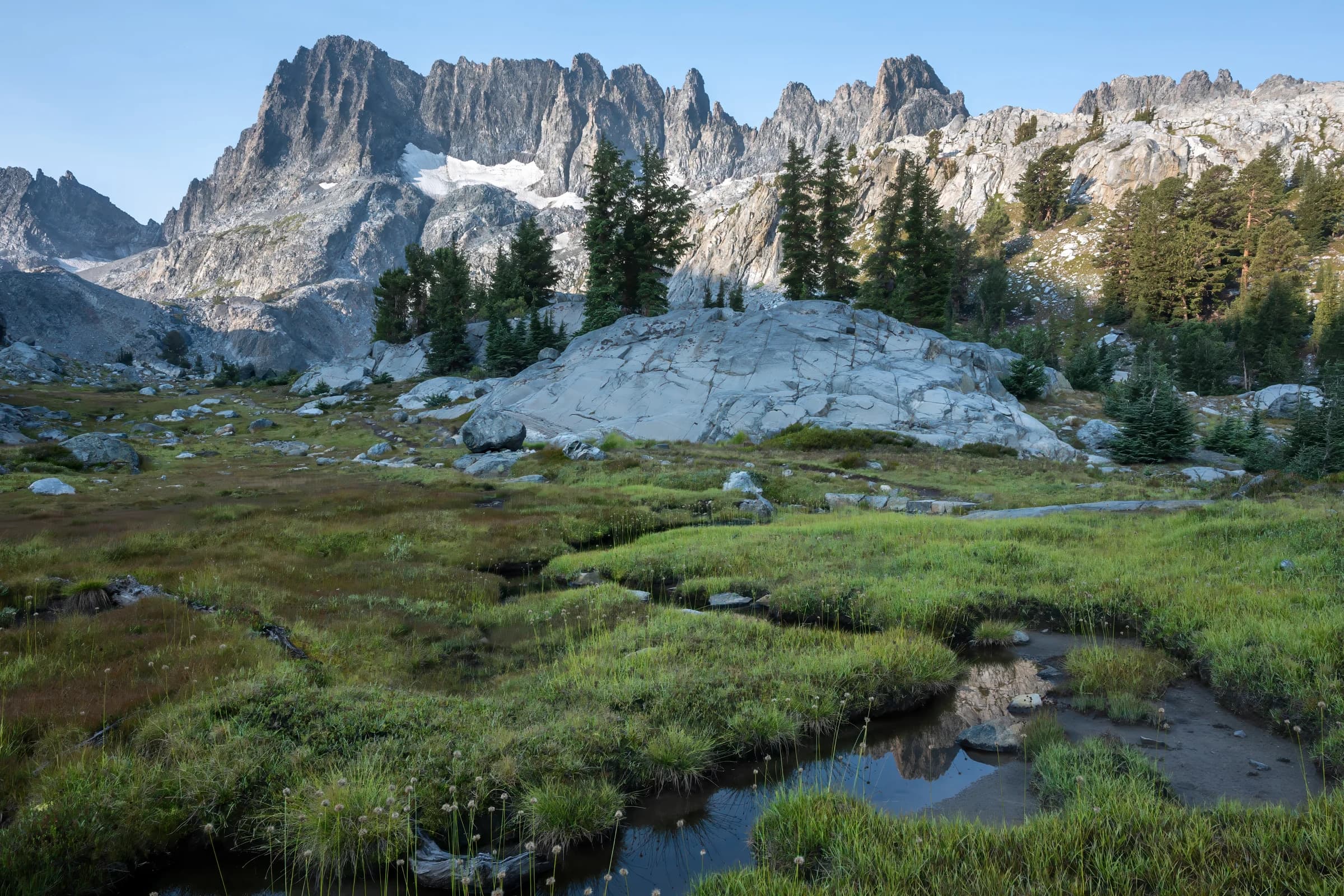 Sierra Meadow Reflections