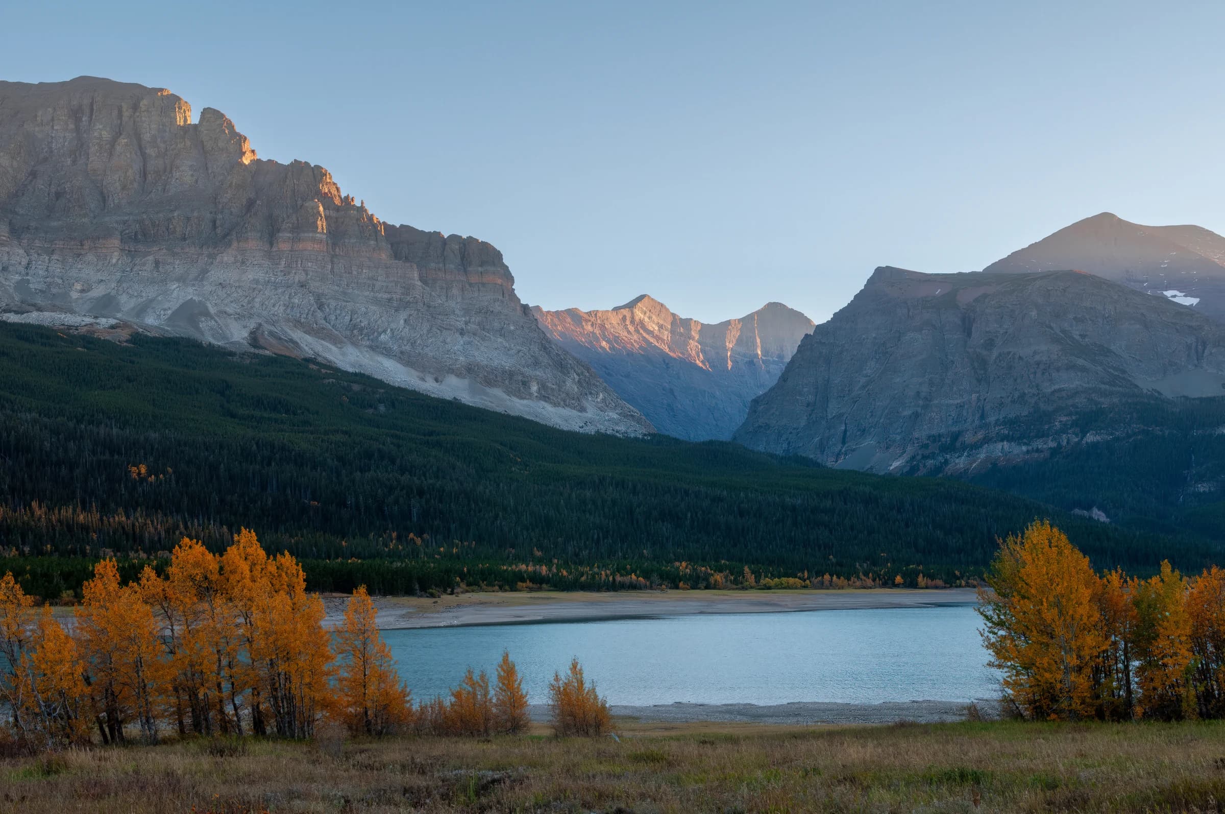 Autumn's Golden Embrace