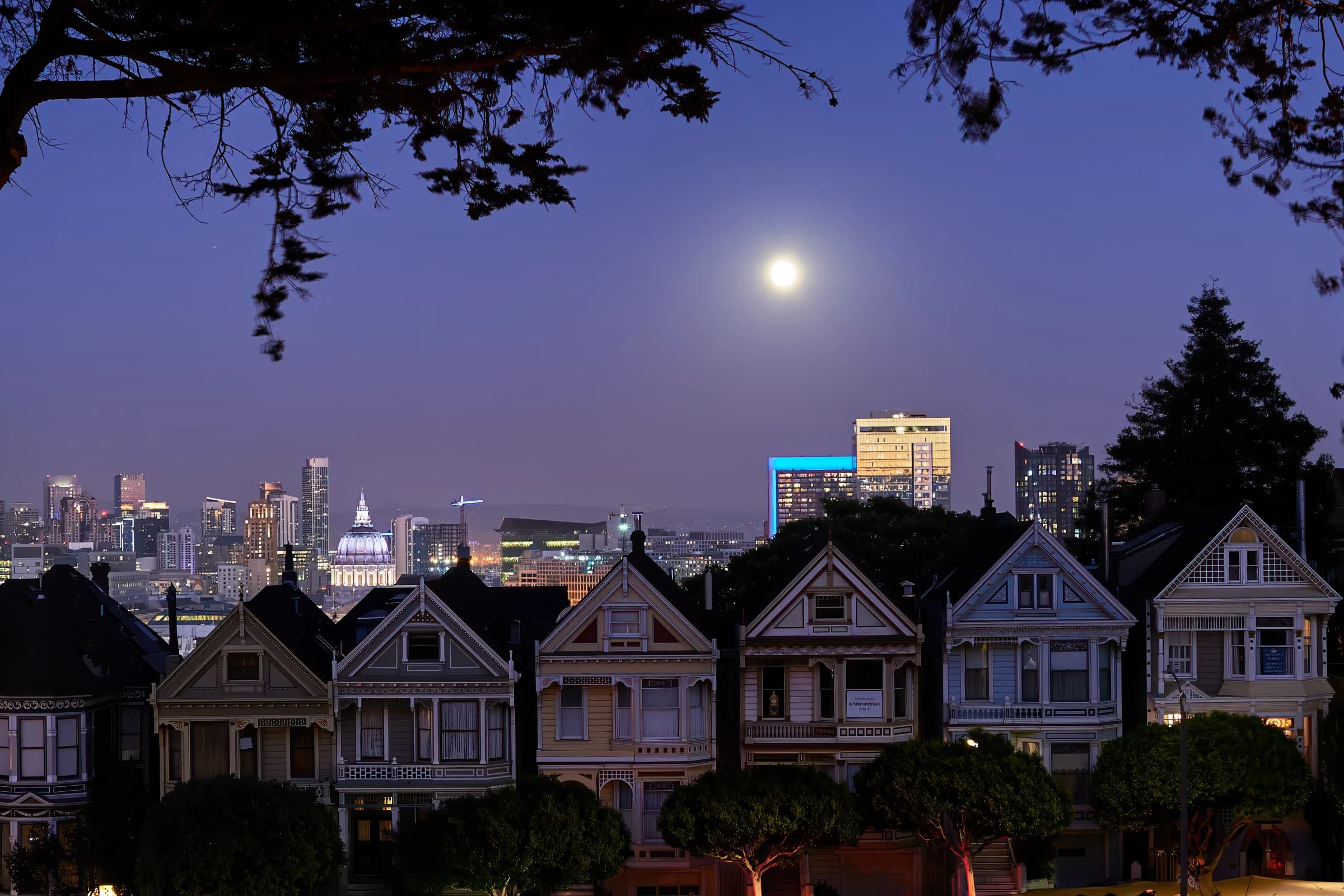 Painted Ladies Under Moonlight