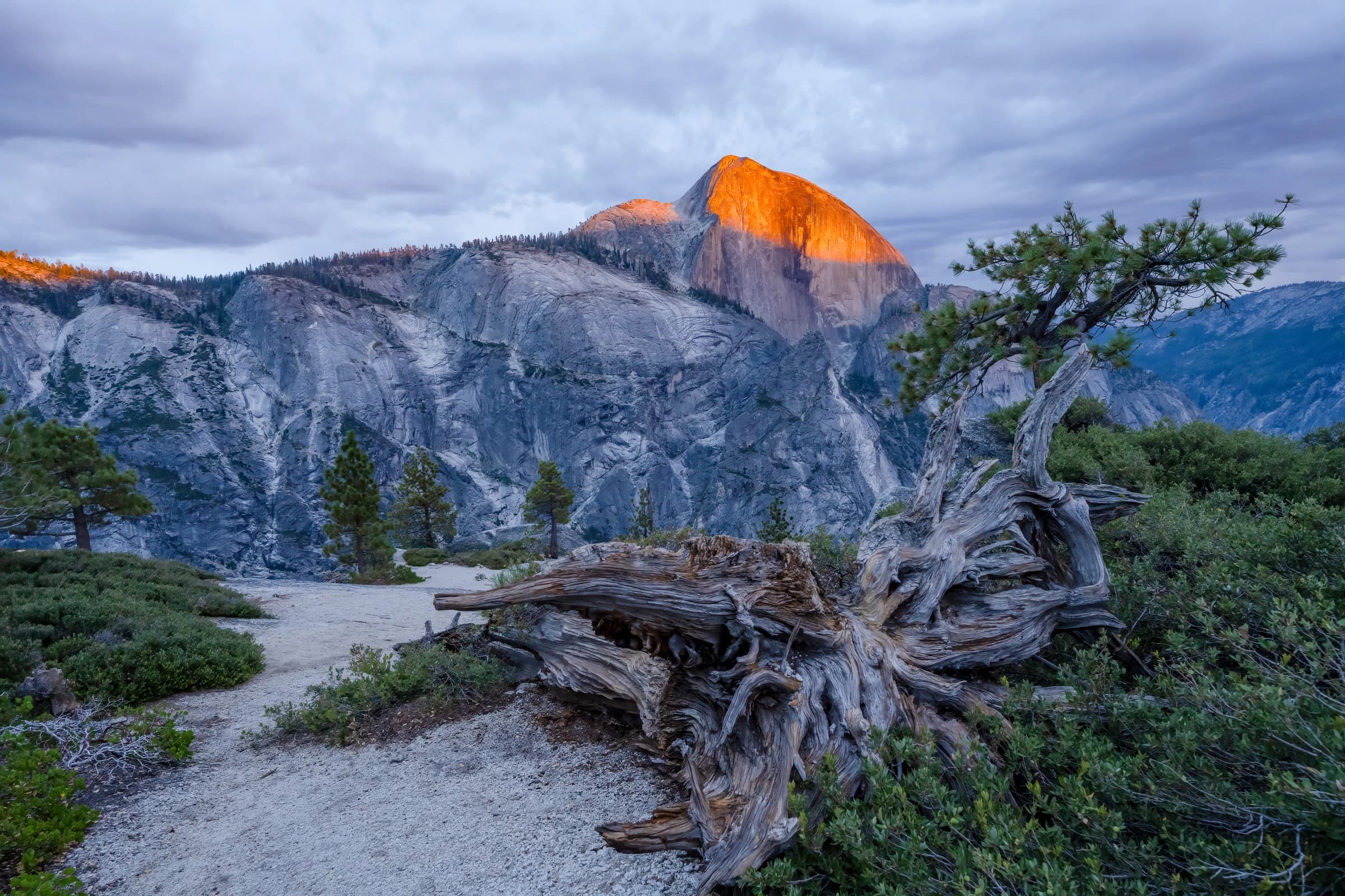 Half Dome's Golden Hour Glow — Half Dome, Yosemite National Park, California