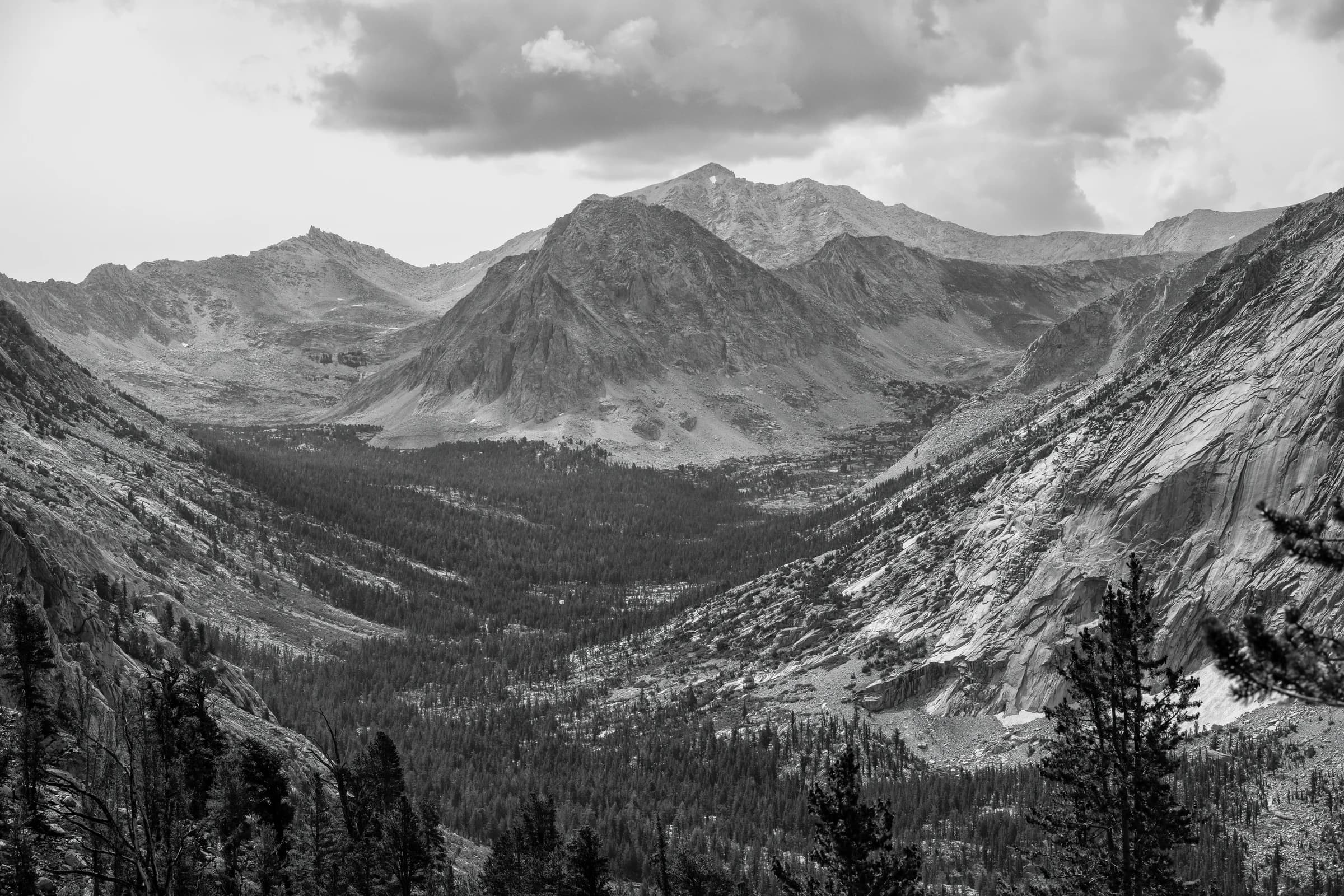 Sierra Vista: Granite and Pines