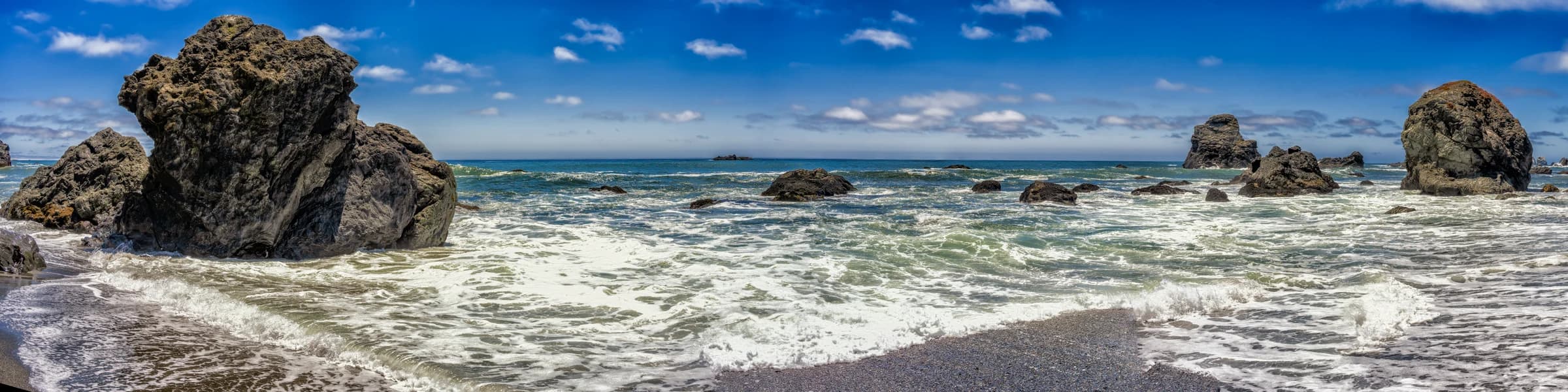 Coastal Giants, Northern California