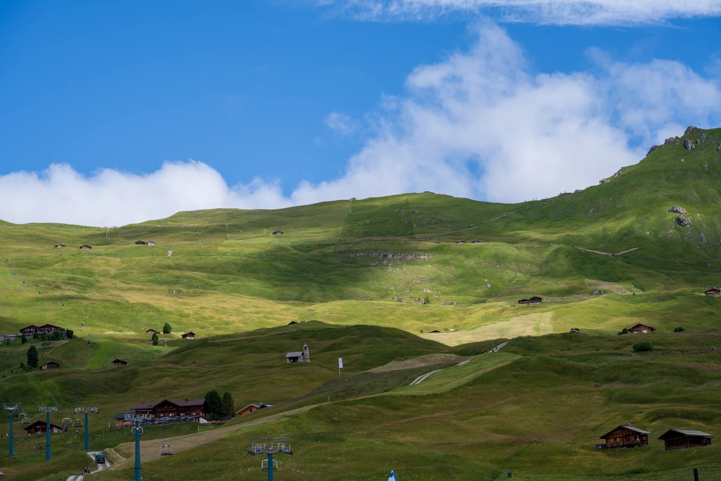 Alpine Meadow Light and Shadow