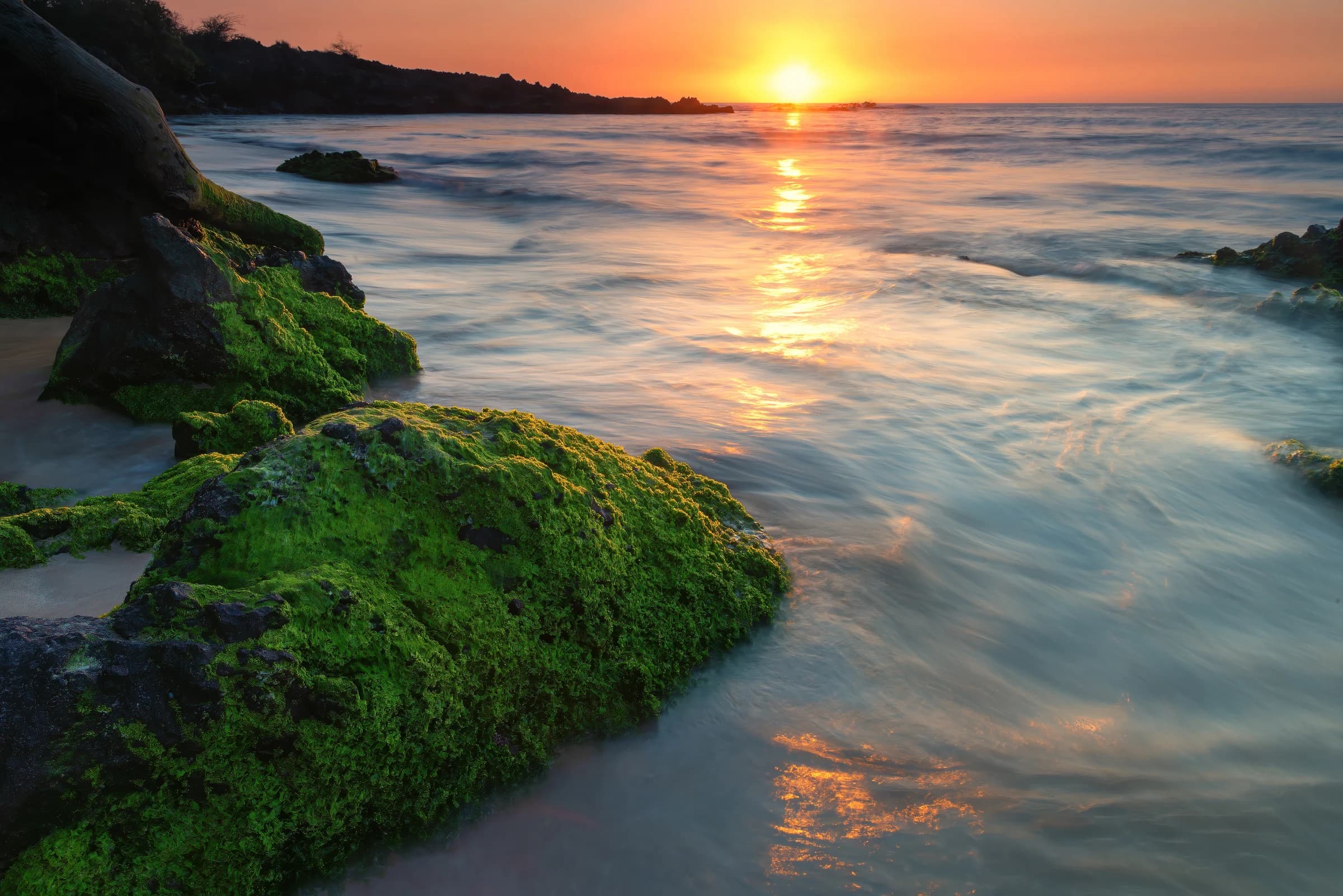 Mossy Rocks, Golden Hour