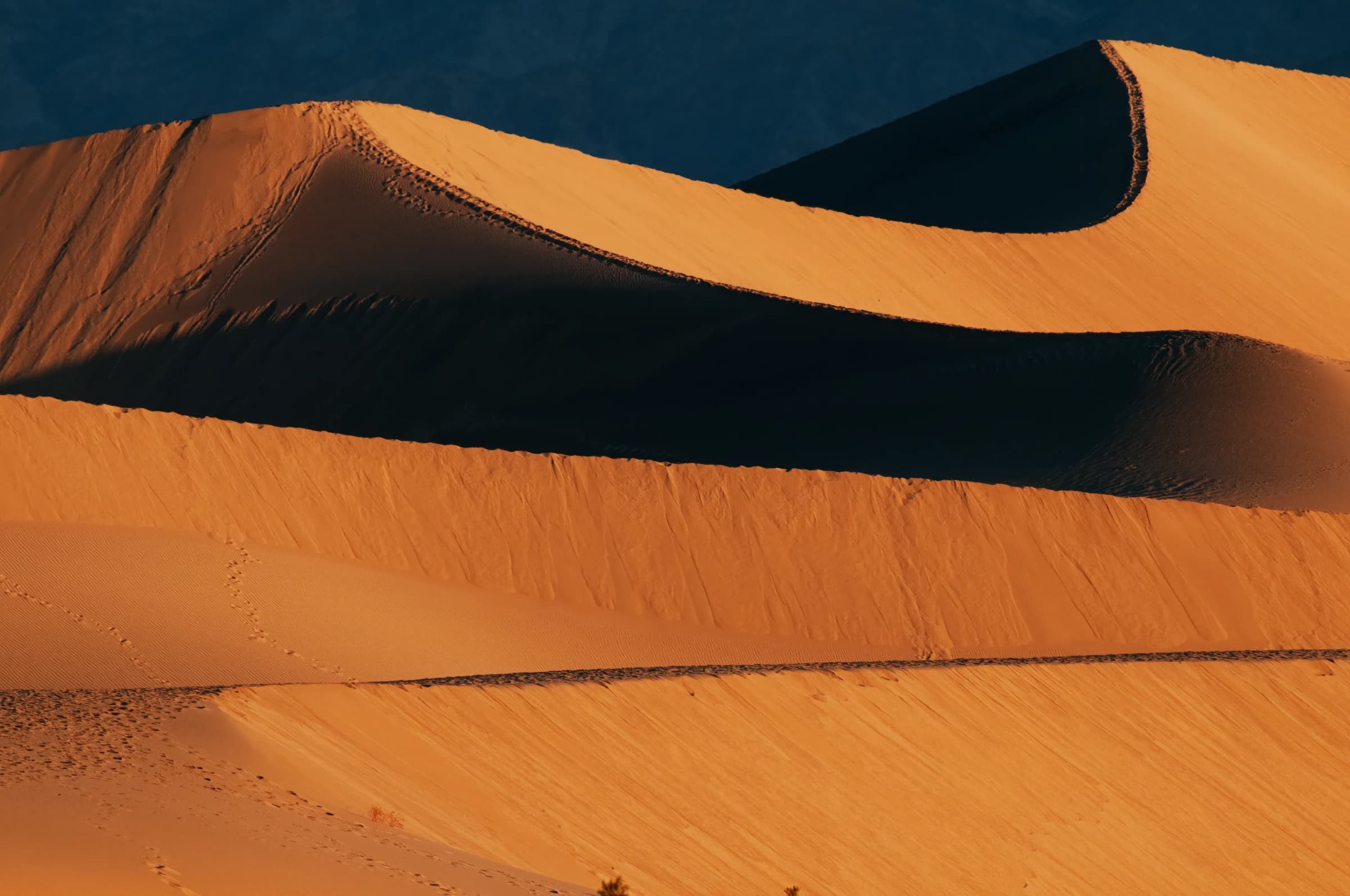 Golden Dunes, Silent Steps