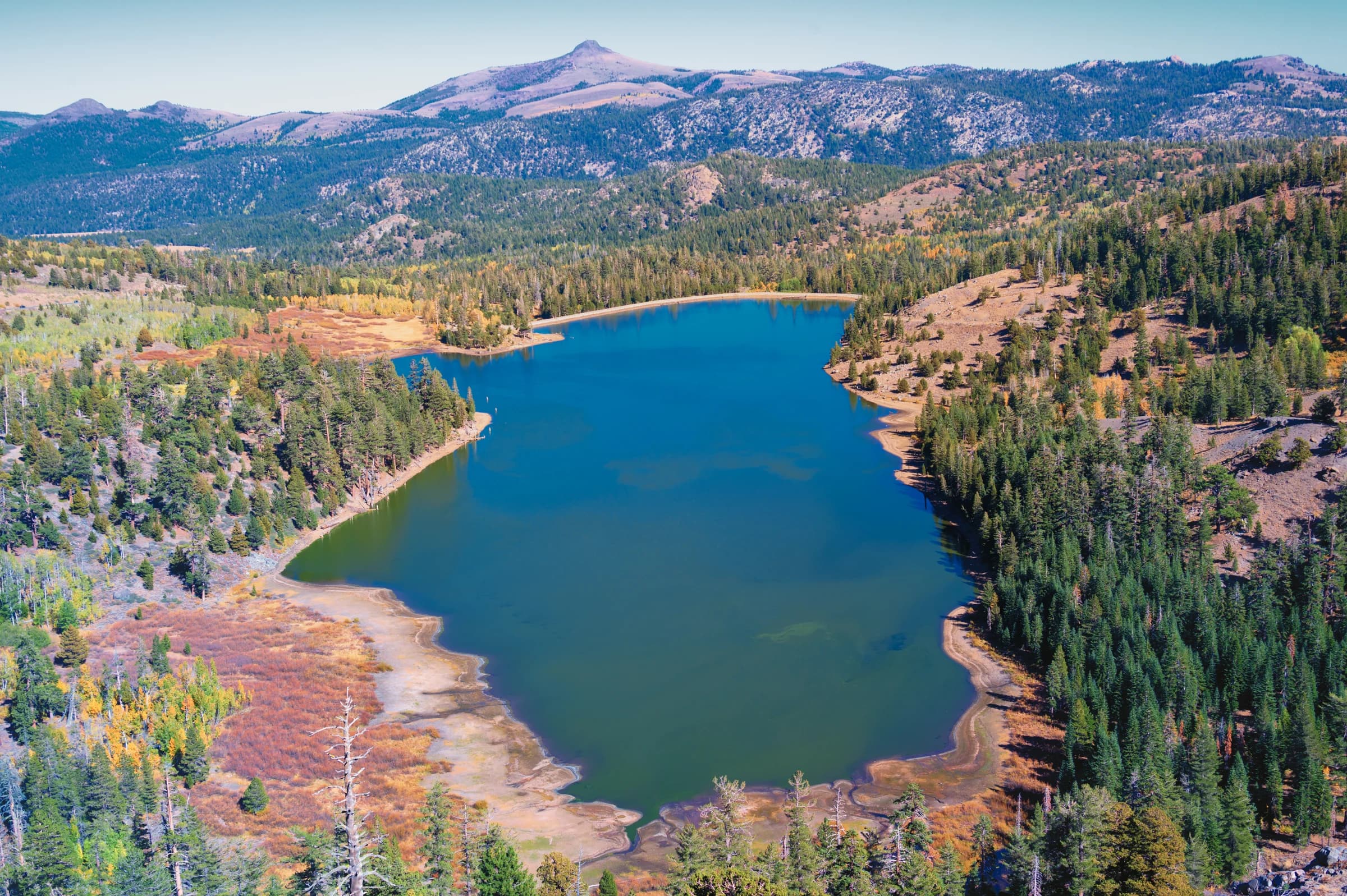 Carson Pass Autumn Embrace