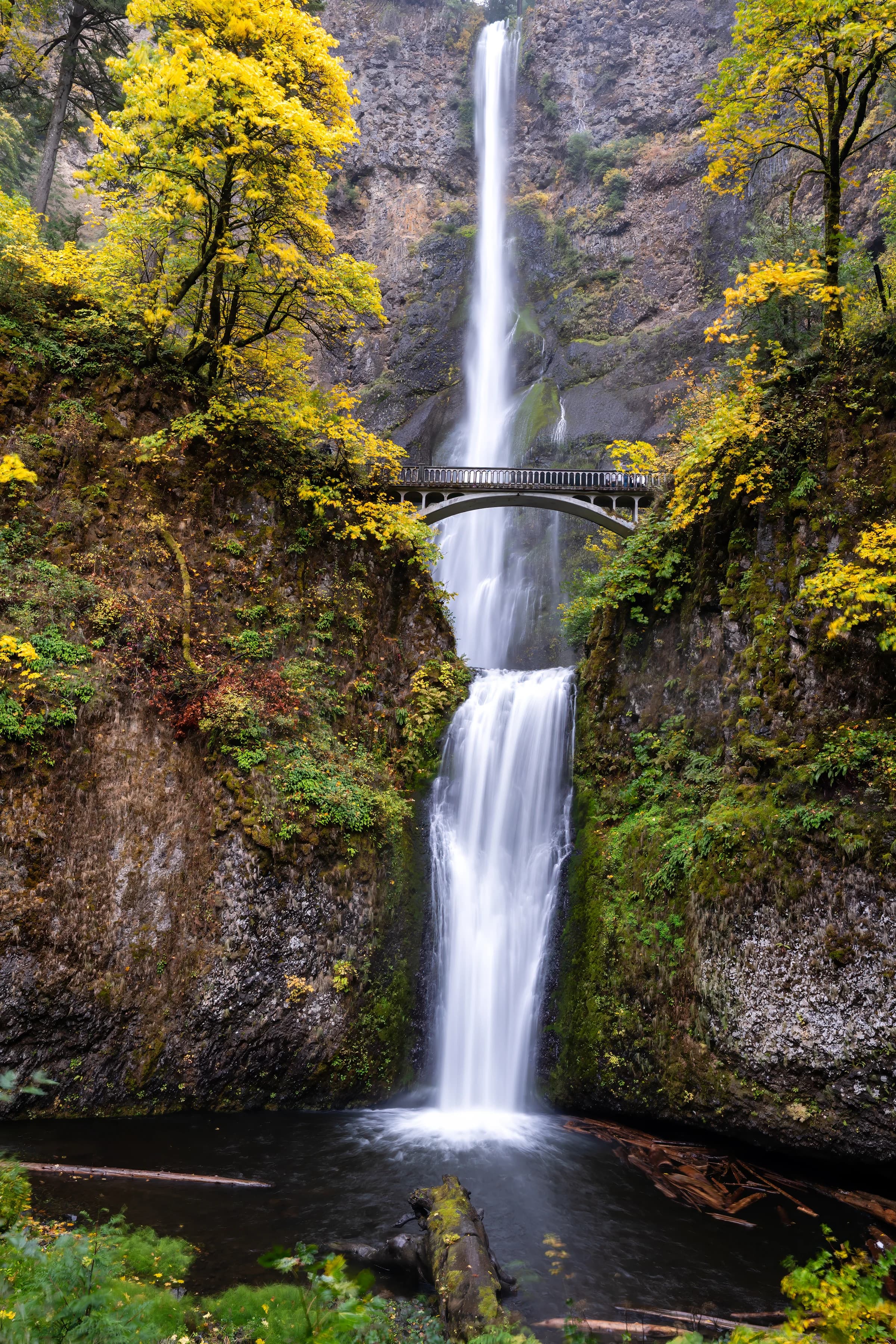 Multnomah Falls Autumn Cascade