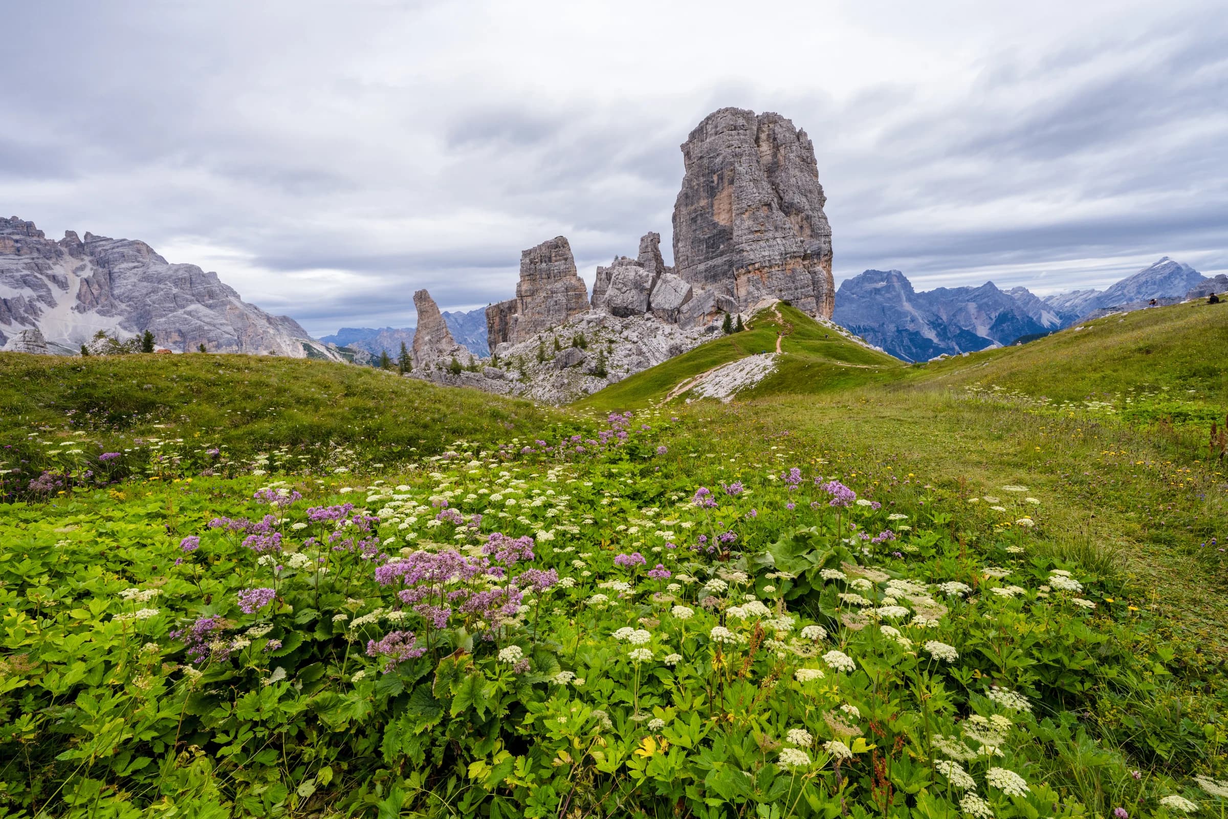 Dolomites: Wildflower Meadow Ascent
