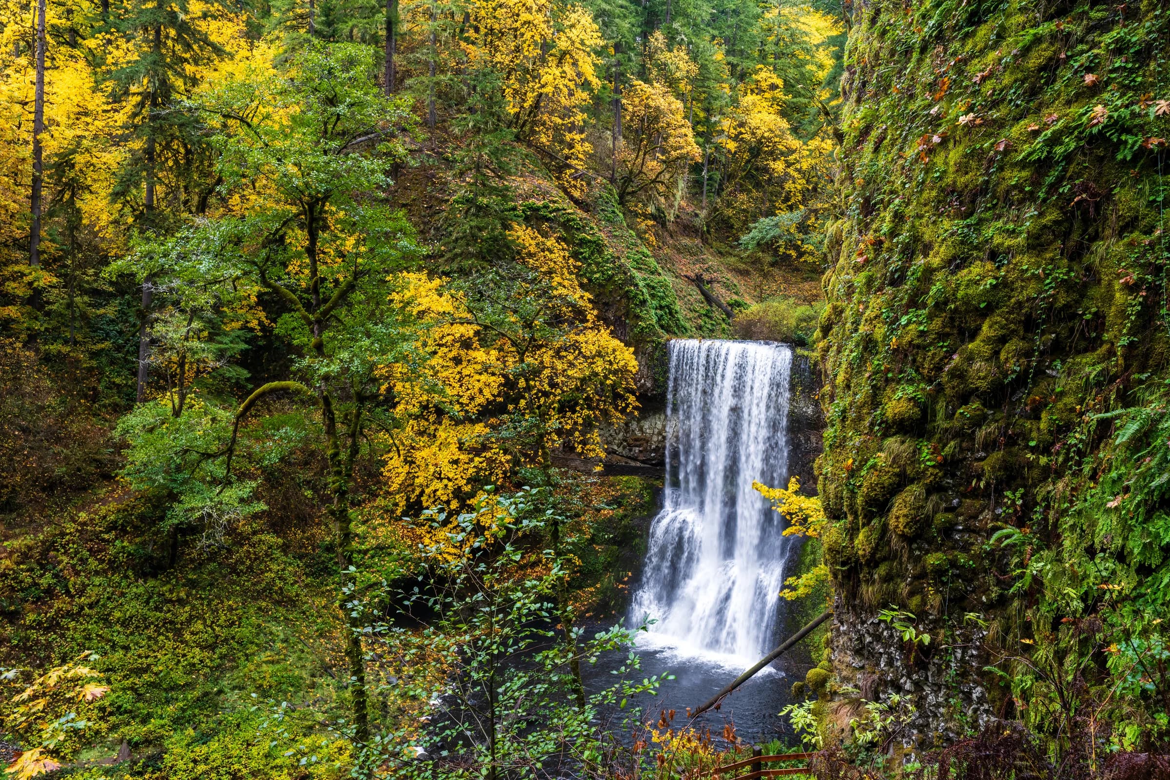 Autumn Cascade, Silver Falls