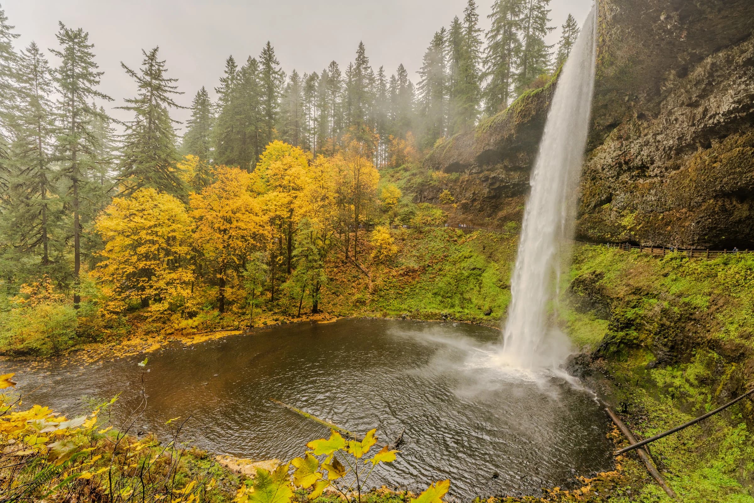 Autumn Cascade, Silver Falls