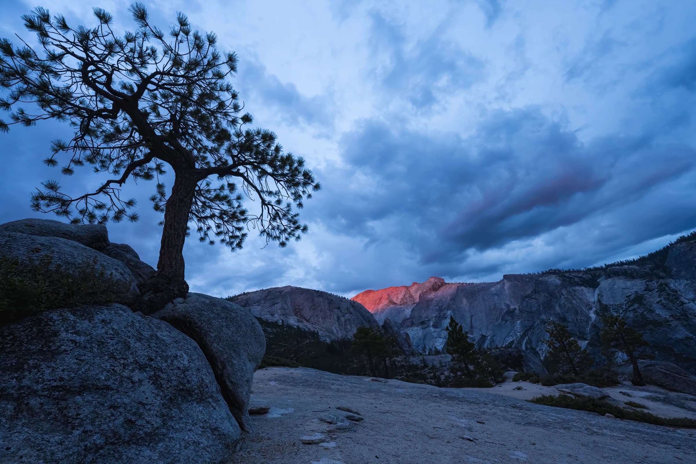 Sierra Twilight Sentinel