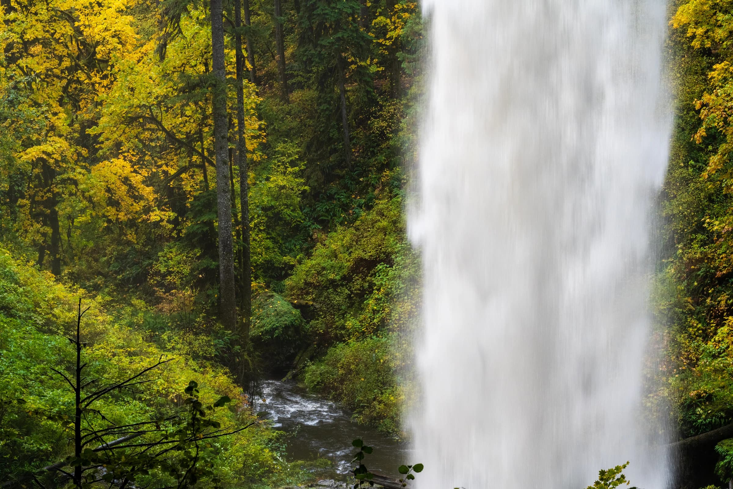Waterfall's Autumnal Embrace