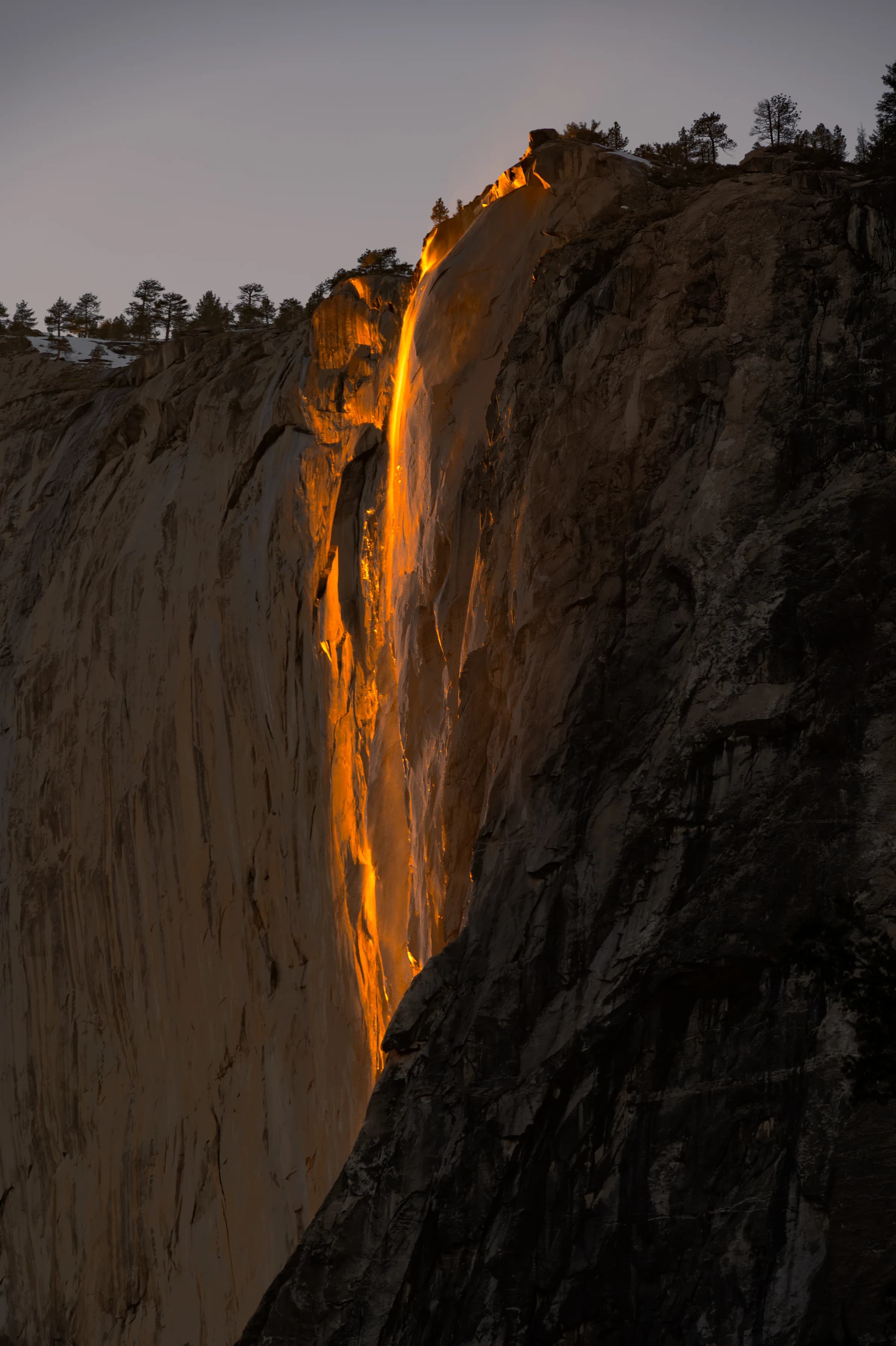 Firefall's Golden Embrace