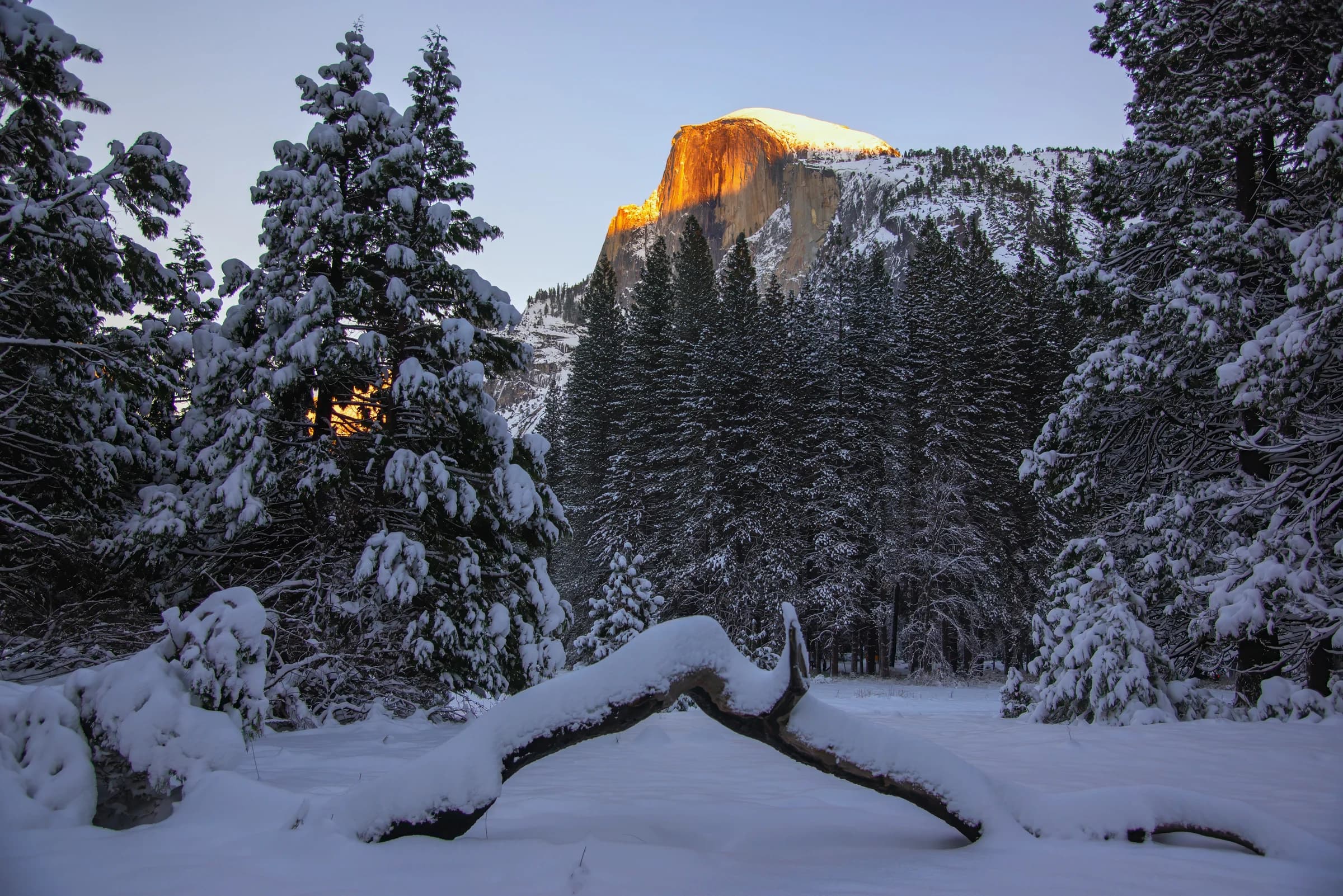 Half Dome's Winter Radiance