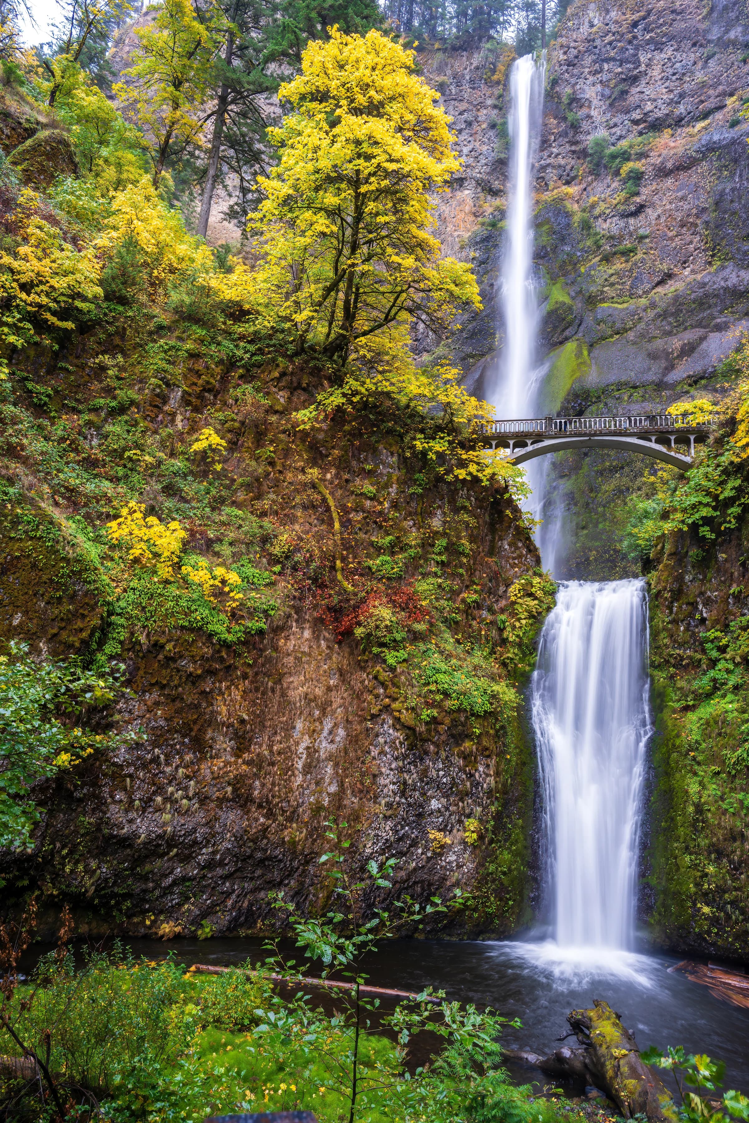 Multnomah's Autumn Cascade