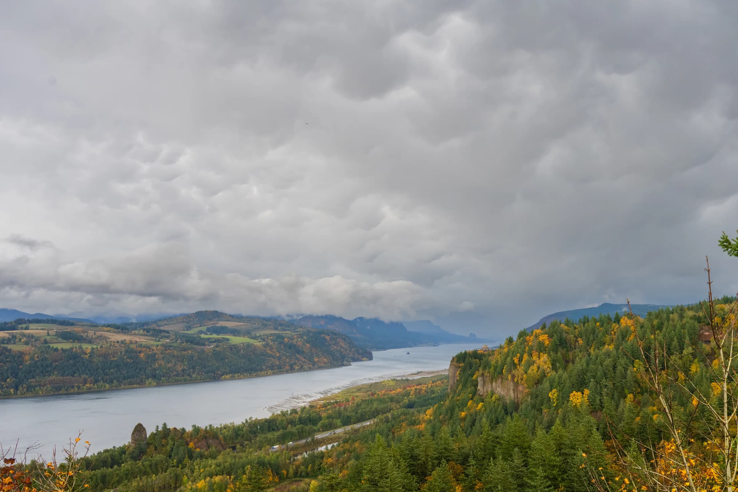 Columbia River Gorge Vista