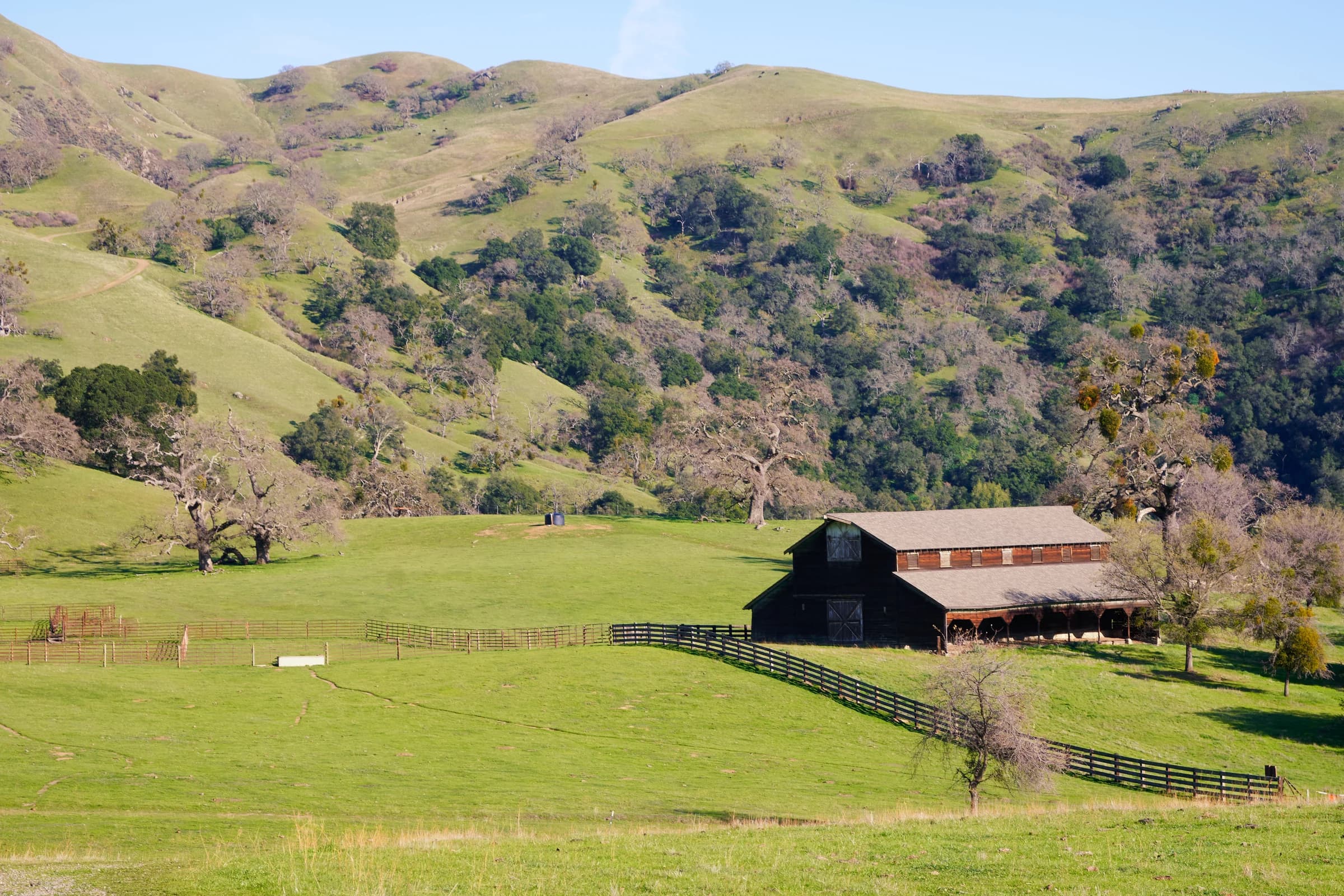 California Ranch Serenity