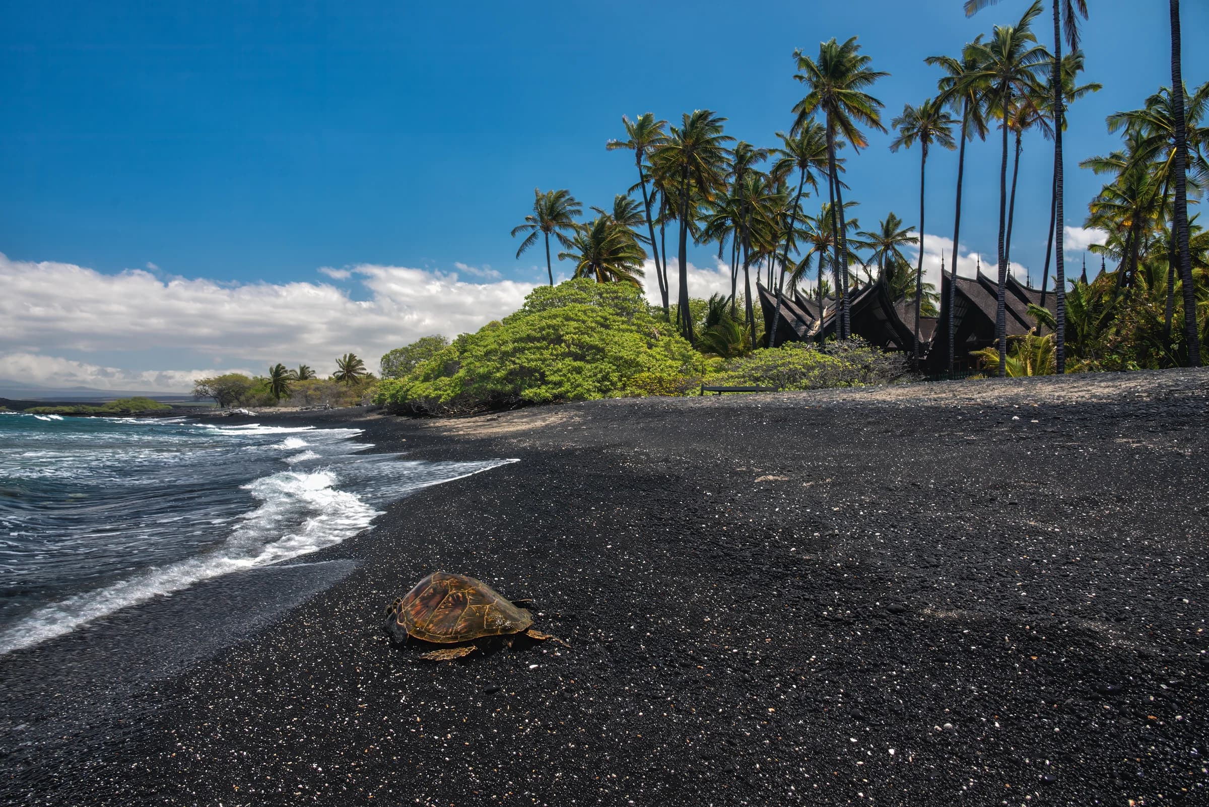 Black Sands, Turtle's Rest