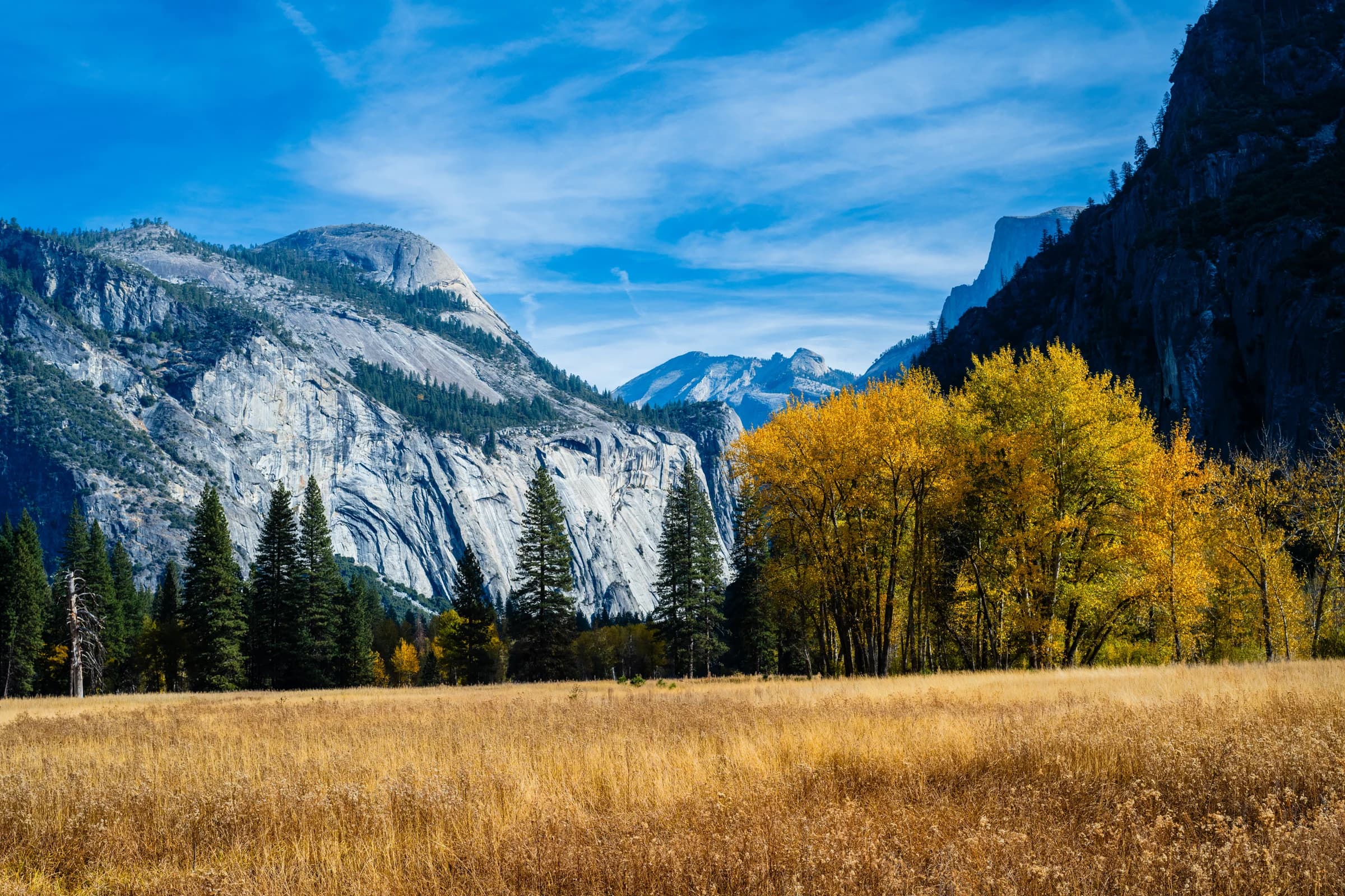Yosemite's Autumnal Tapestry