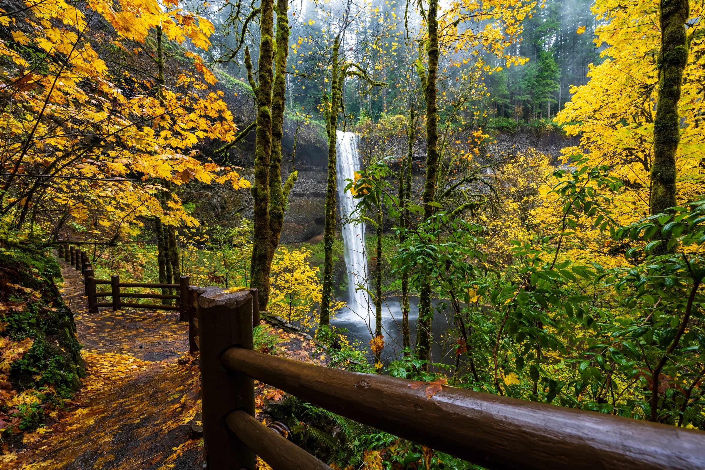 Autumn Cascade, Silver Falls