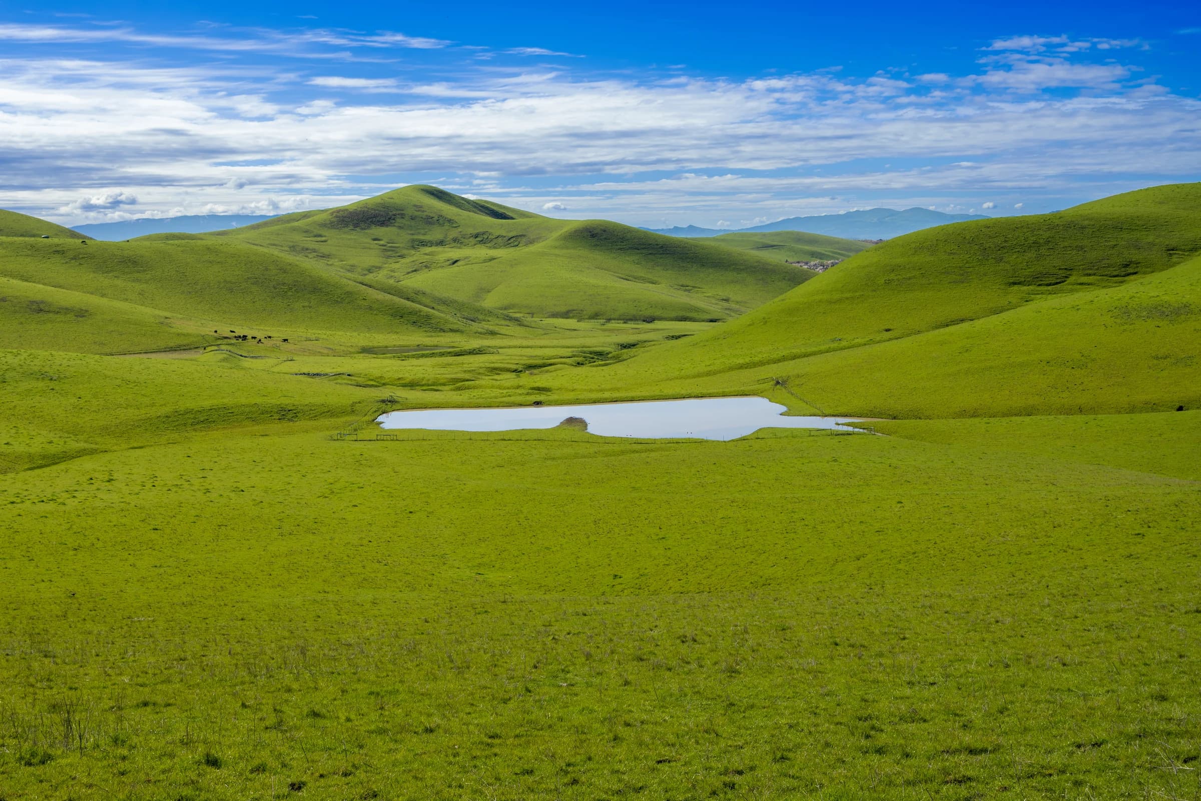 Emerald Hills, Serene Waters