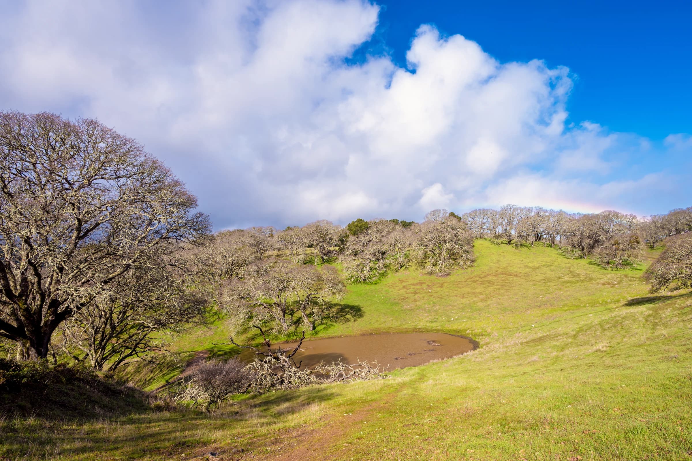 Emerald Hills, Rainbow's Promise