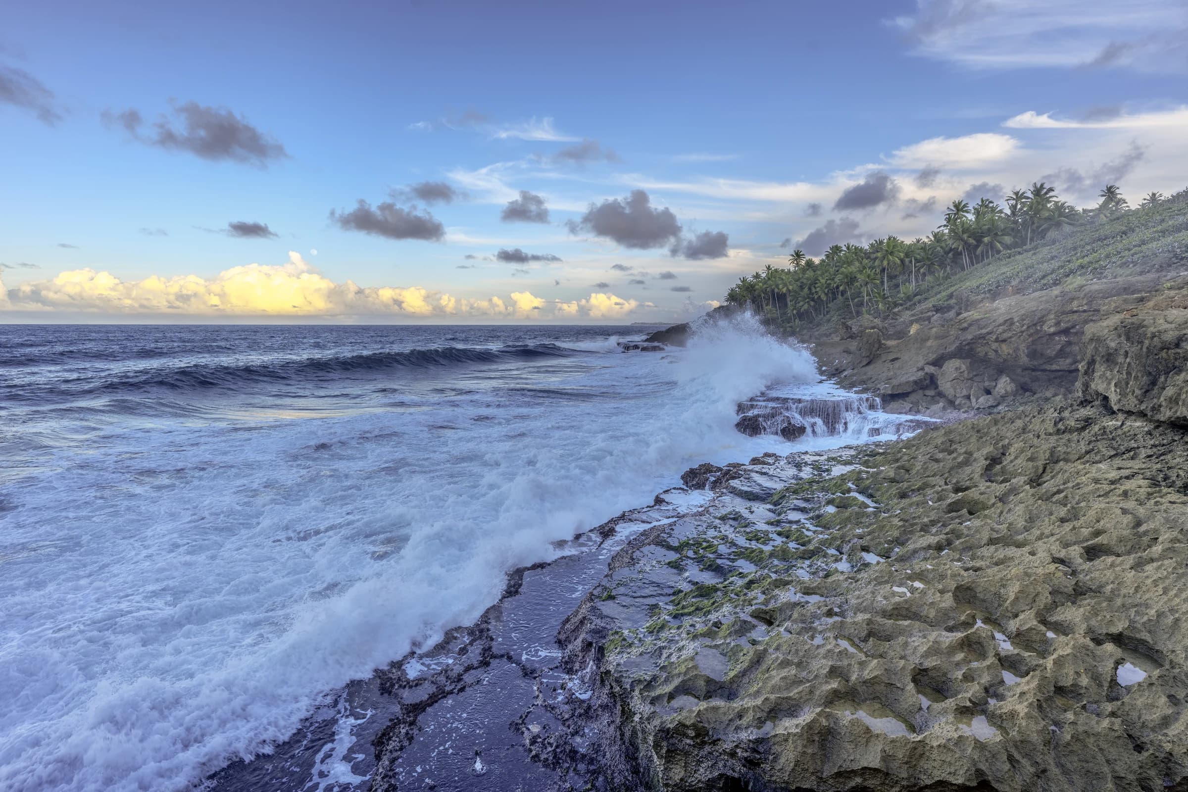 Coastal Fury, Tropical Shore
