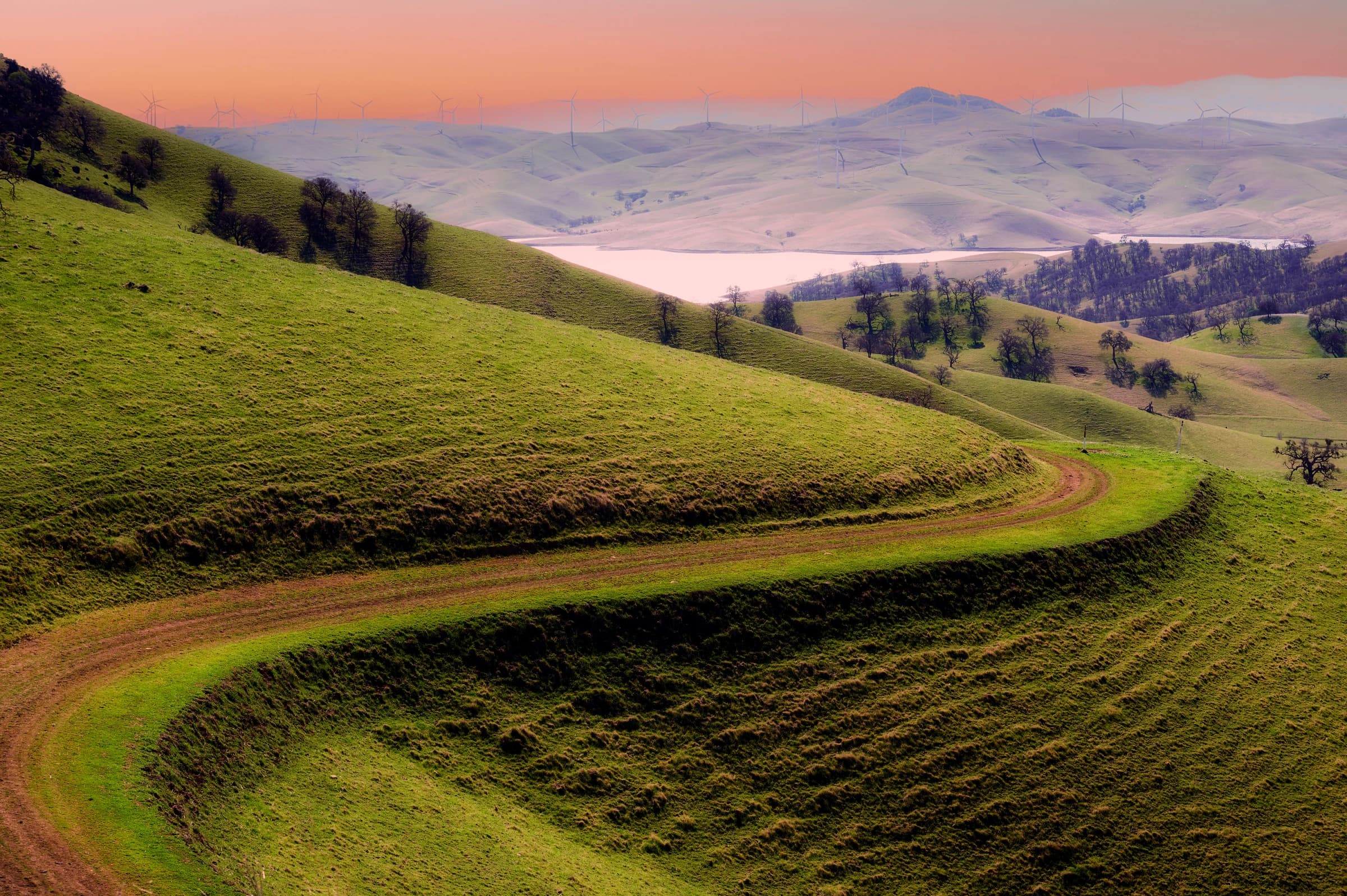 Golden Hills Serenity